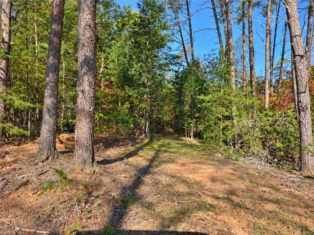 main property photo 41