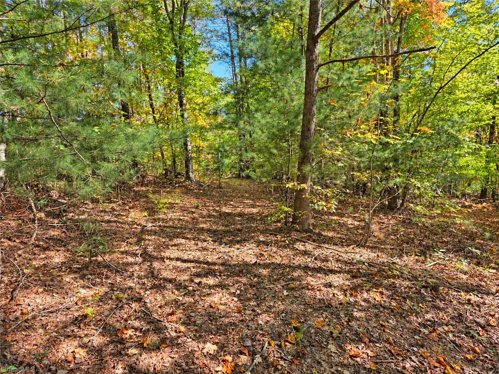 main property photo 48