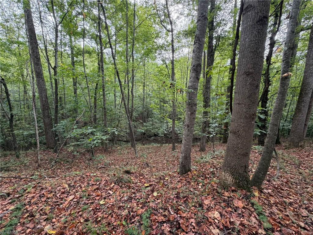 main property photo 31