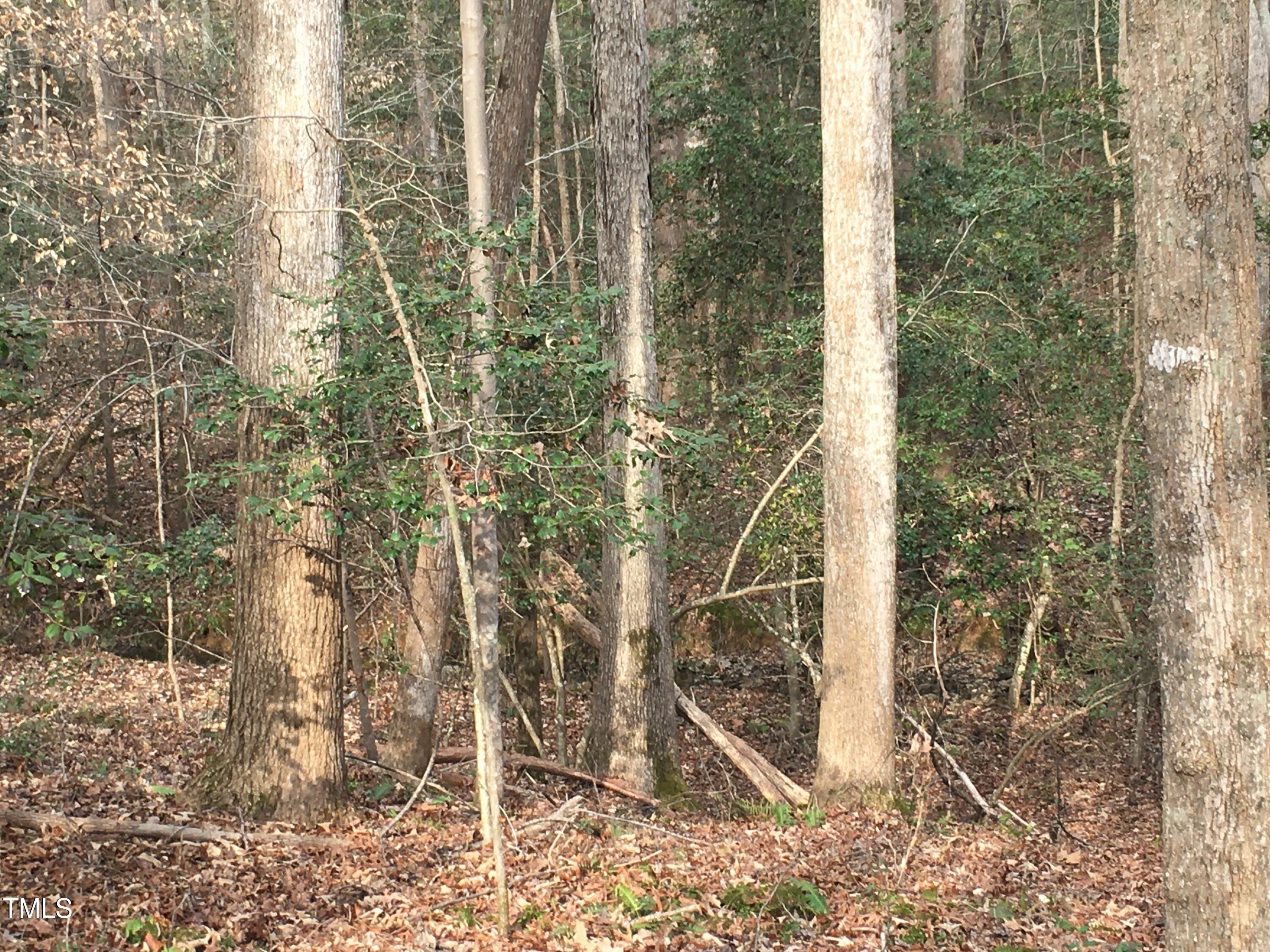 main property photo 34