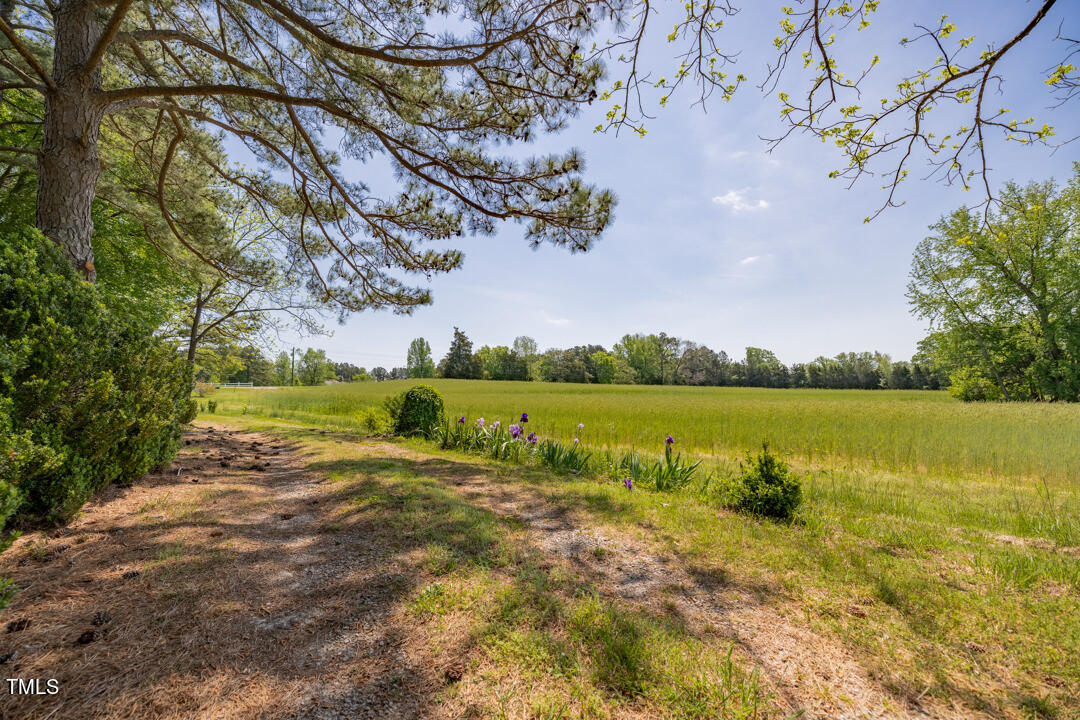 main property photo 59