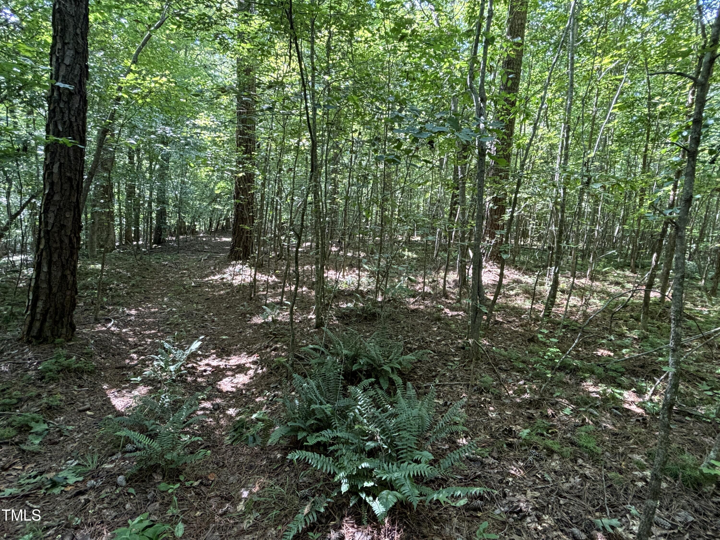 main property photo 13