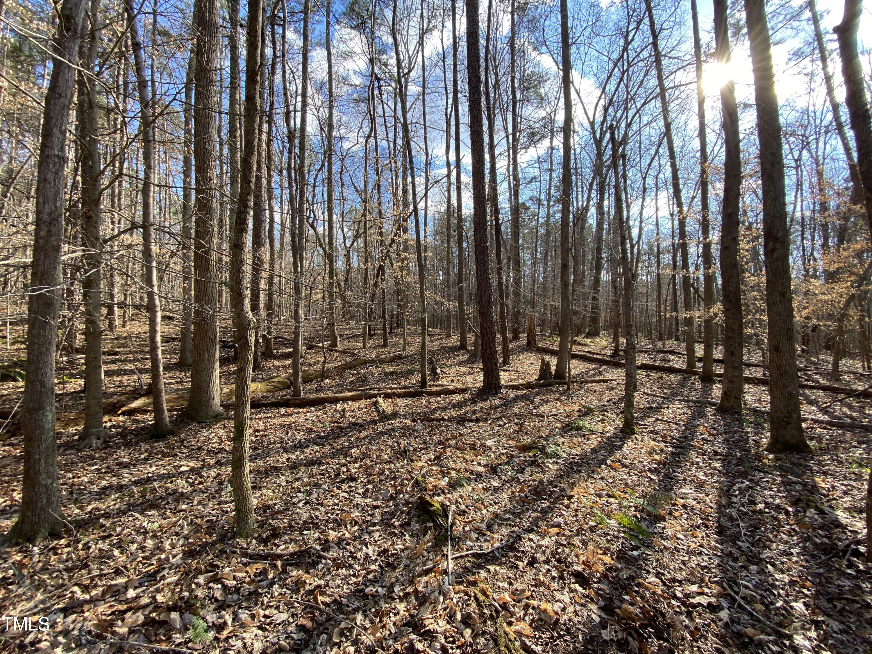 main property photo 20