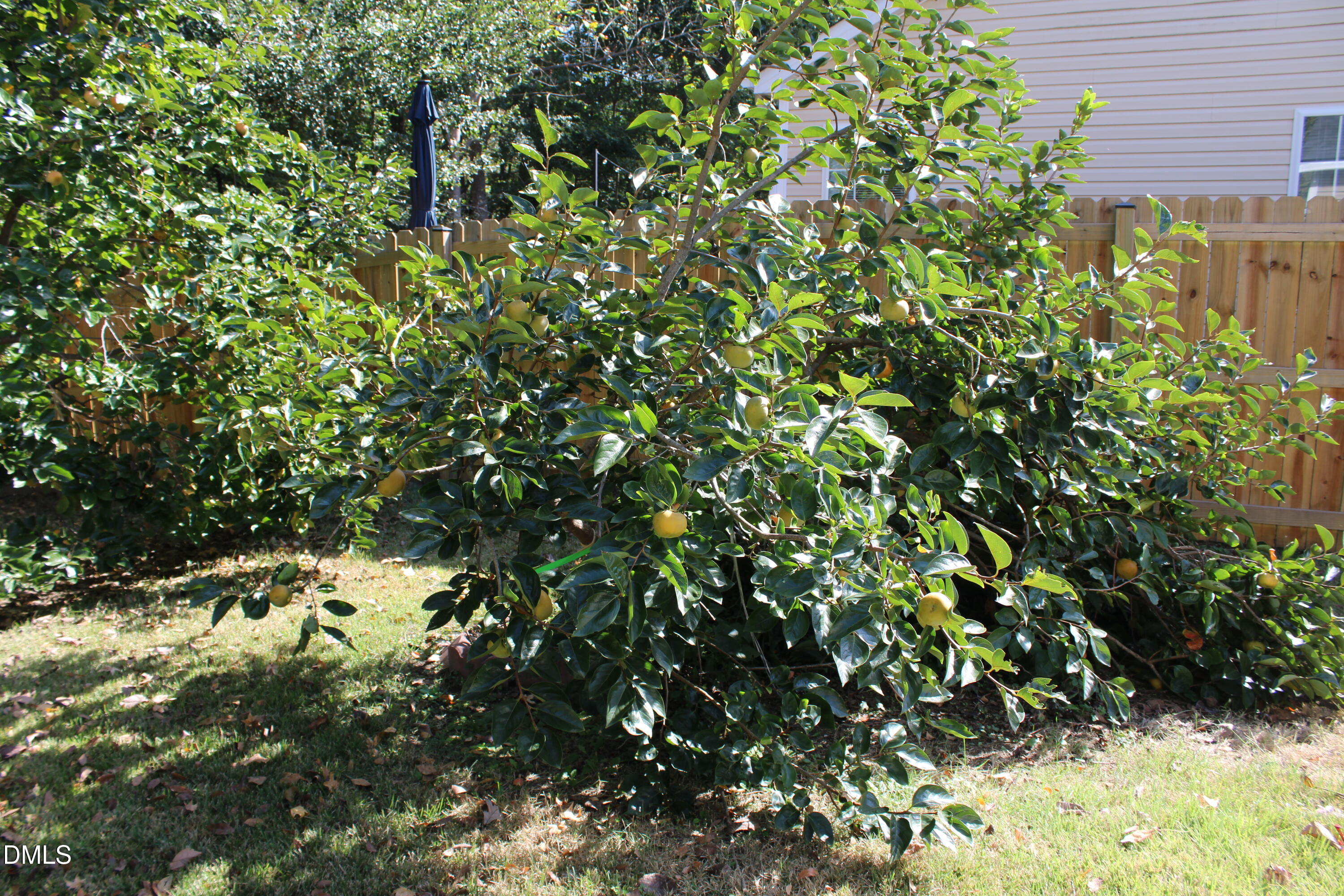 property viewer photo 29