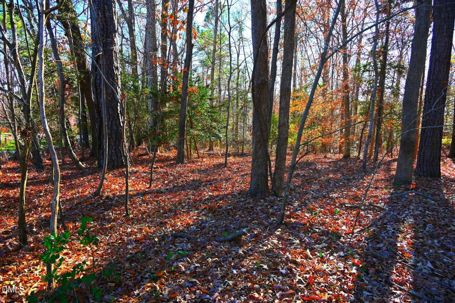 property viewer photo 1