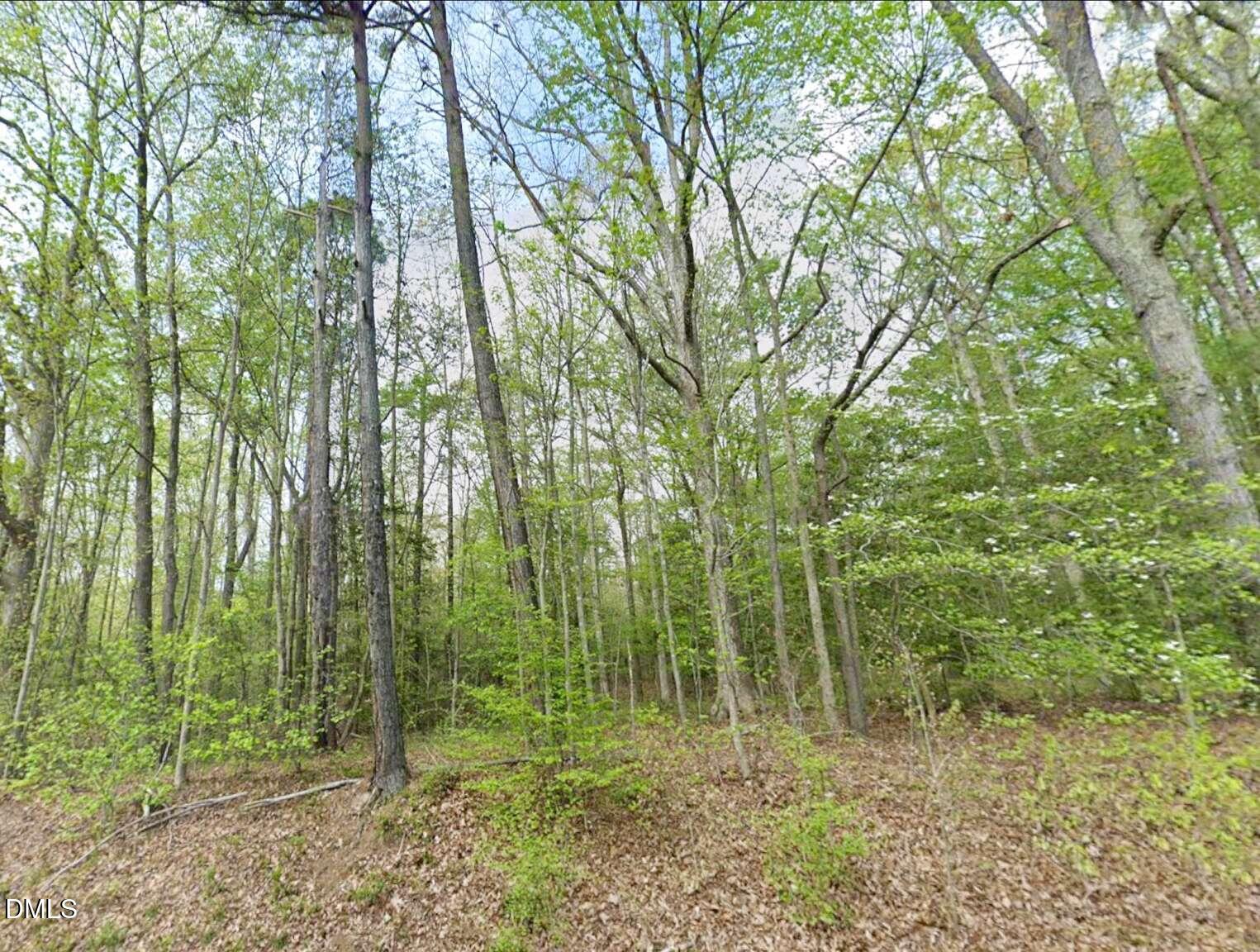 property viewer photo 13