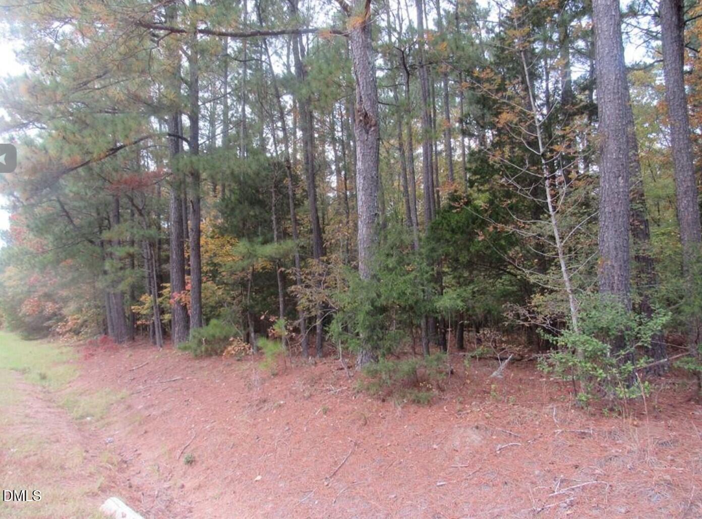main property photo 3