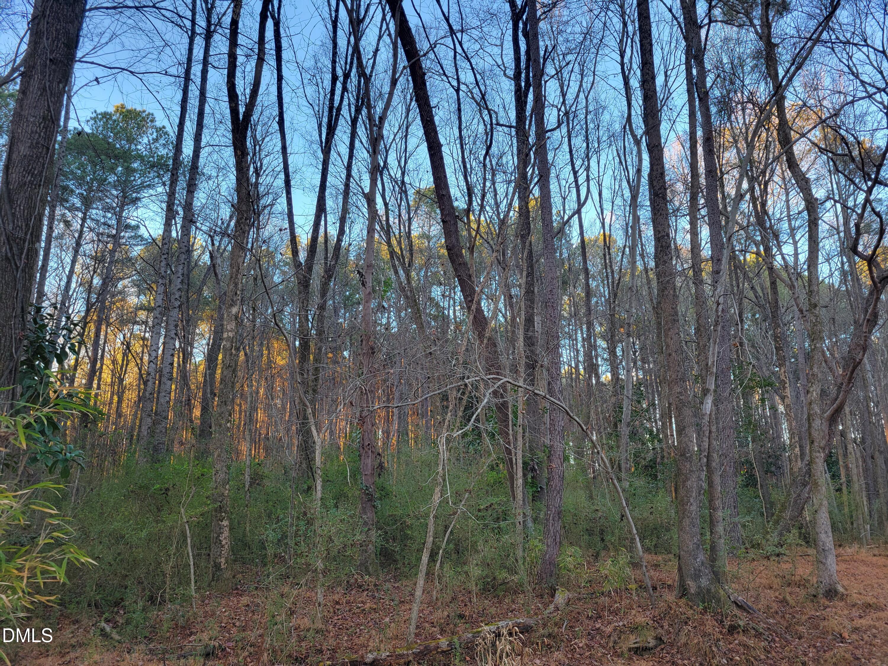 main property photo 43