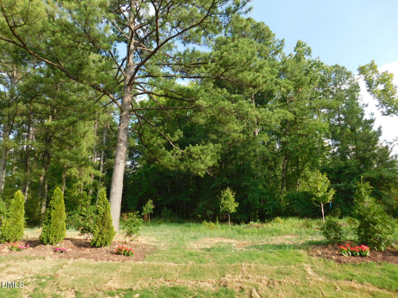 main property photo 68