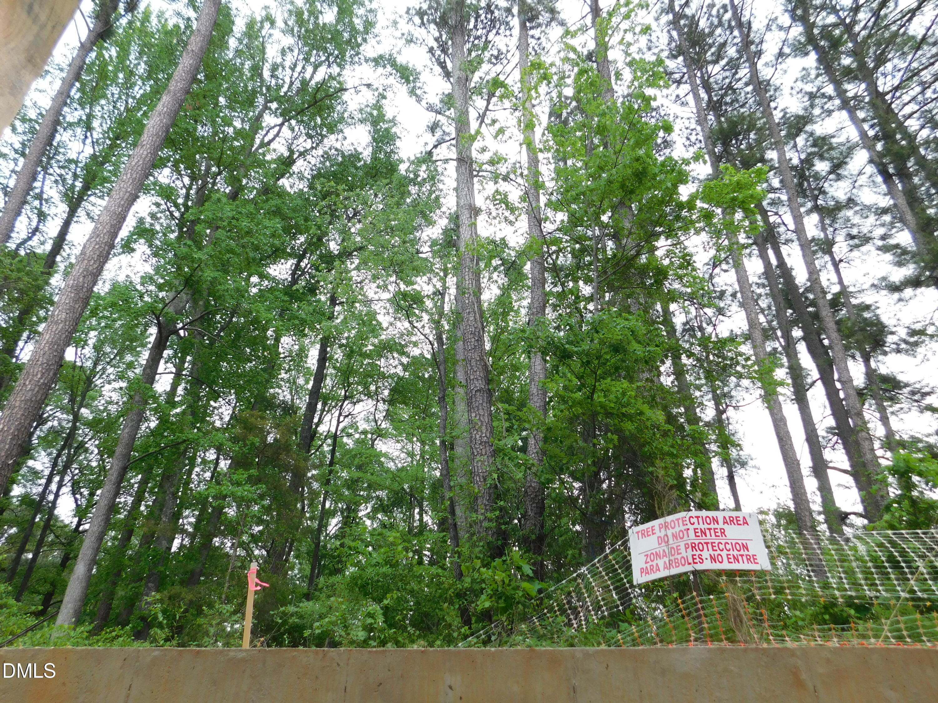 main property photo 69