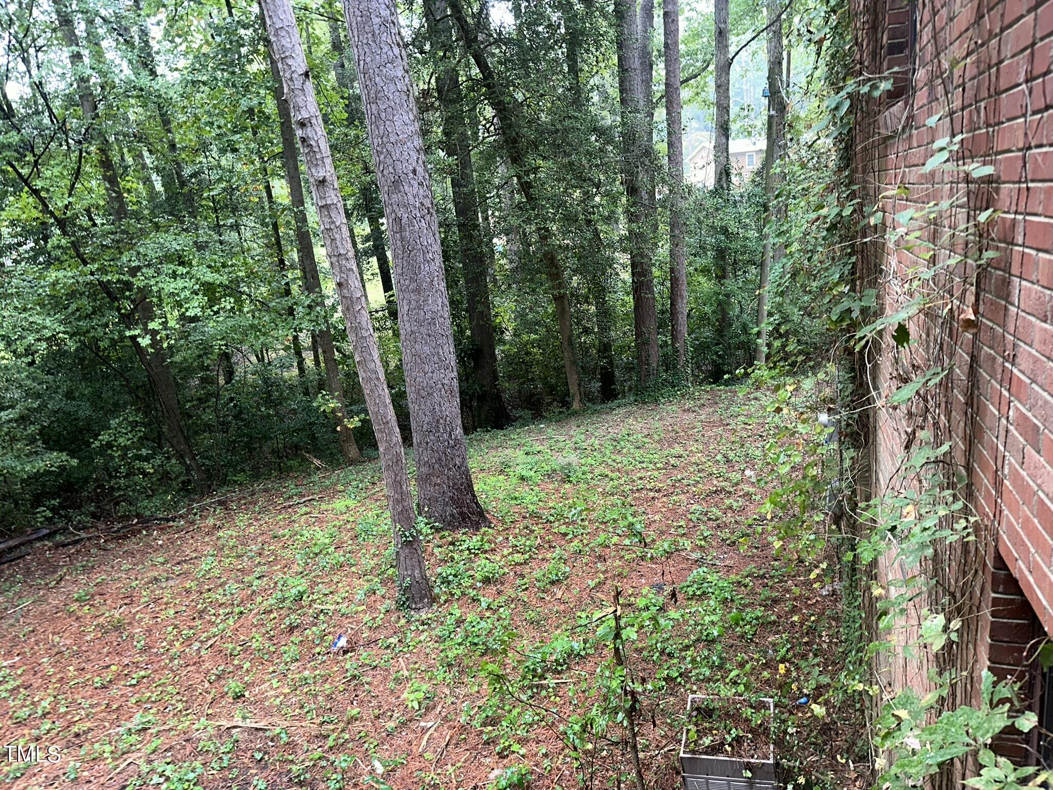 main property photo 39