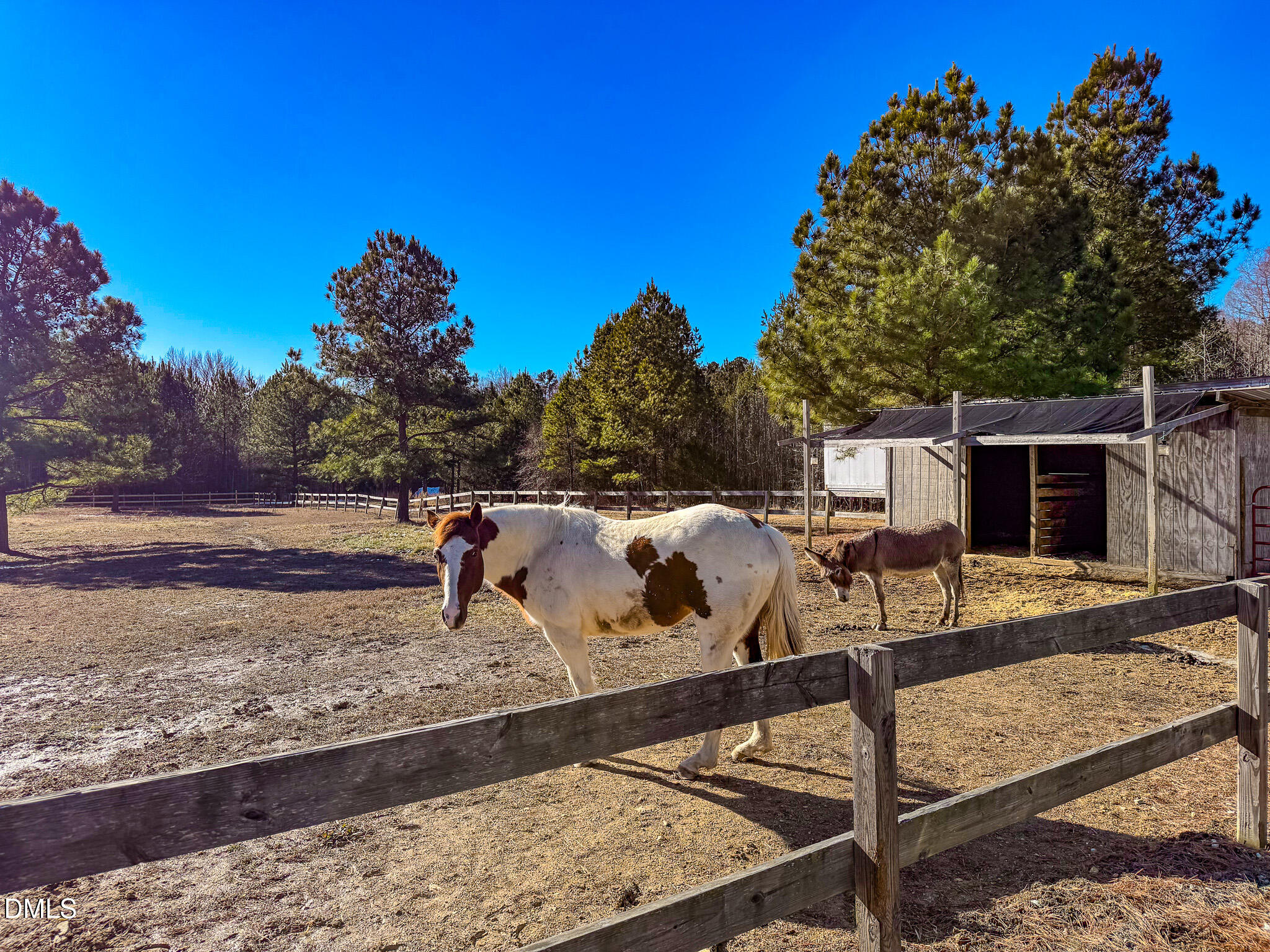 main property photo 22