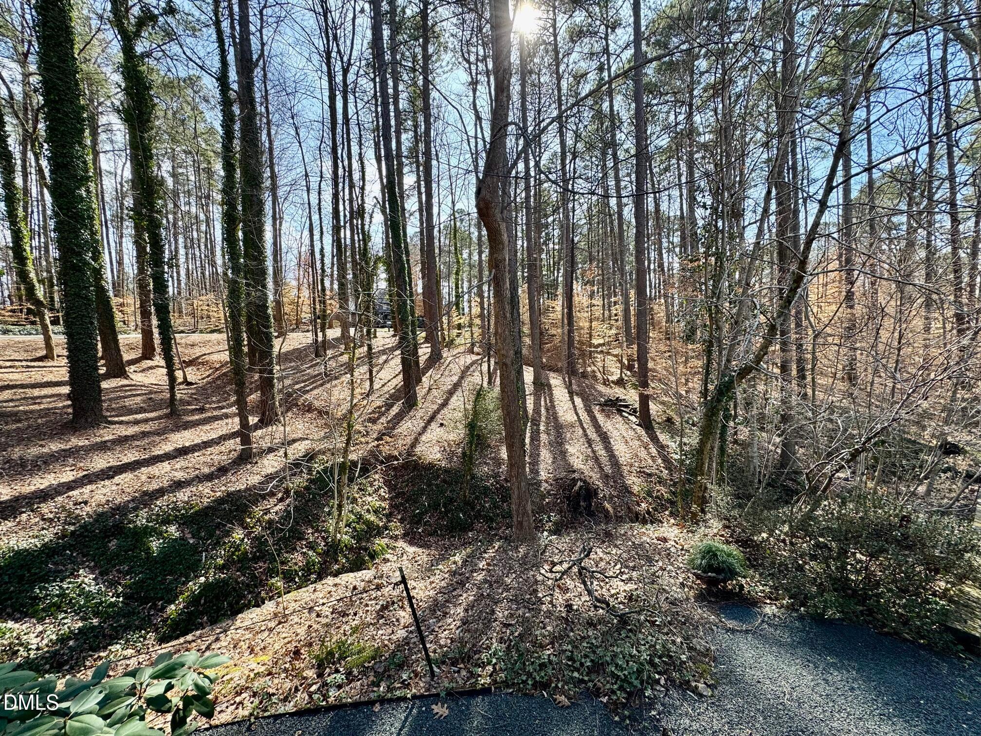 main property photo 63