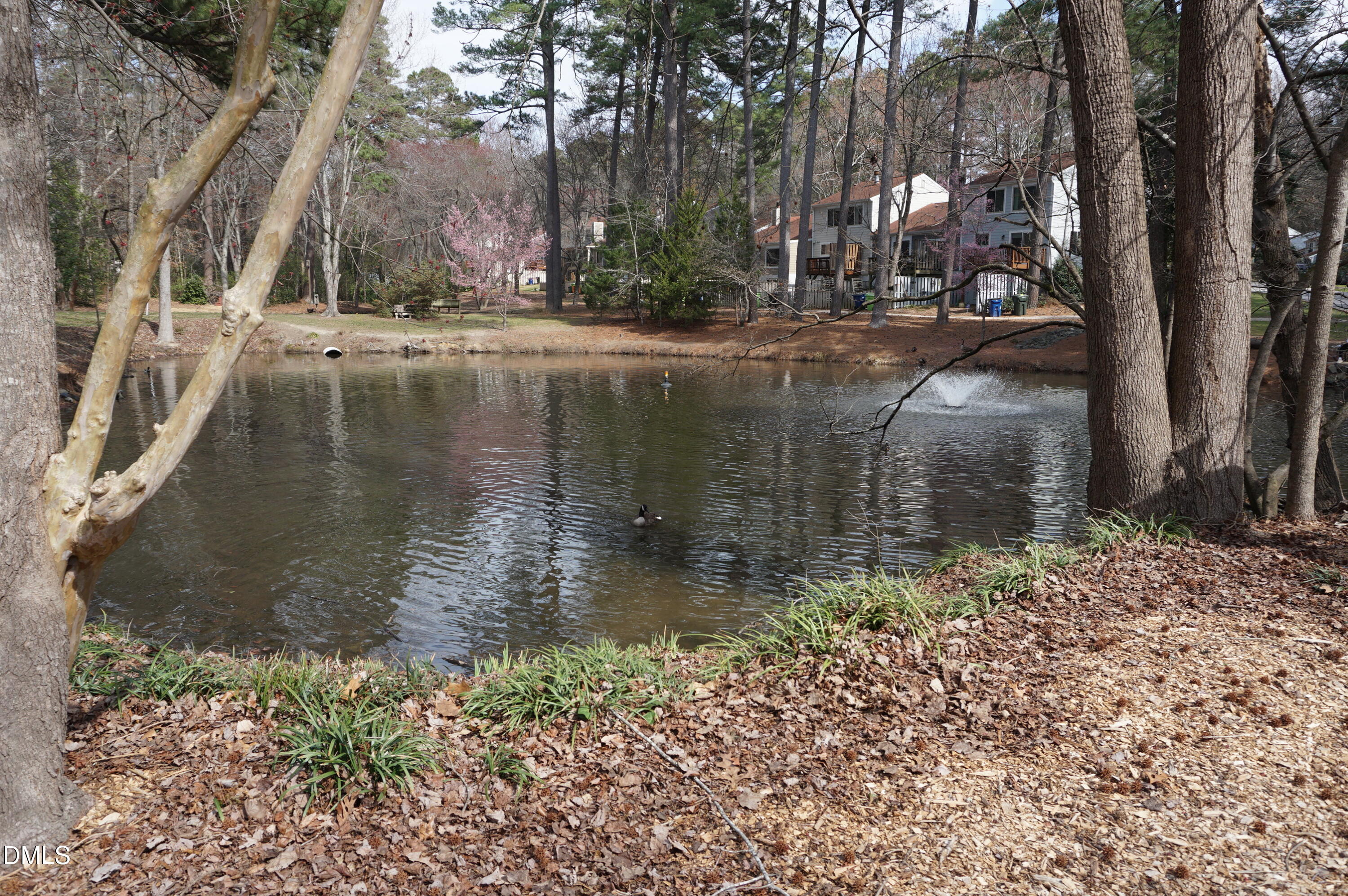 main property photo 51