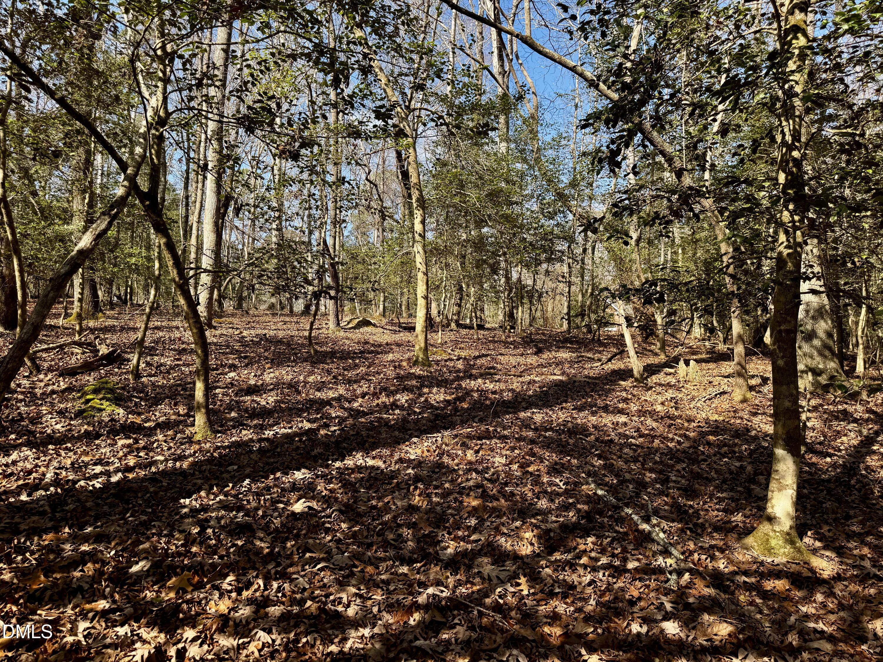 main property photo 7