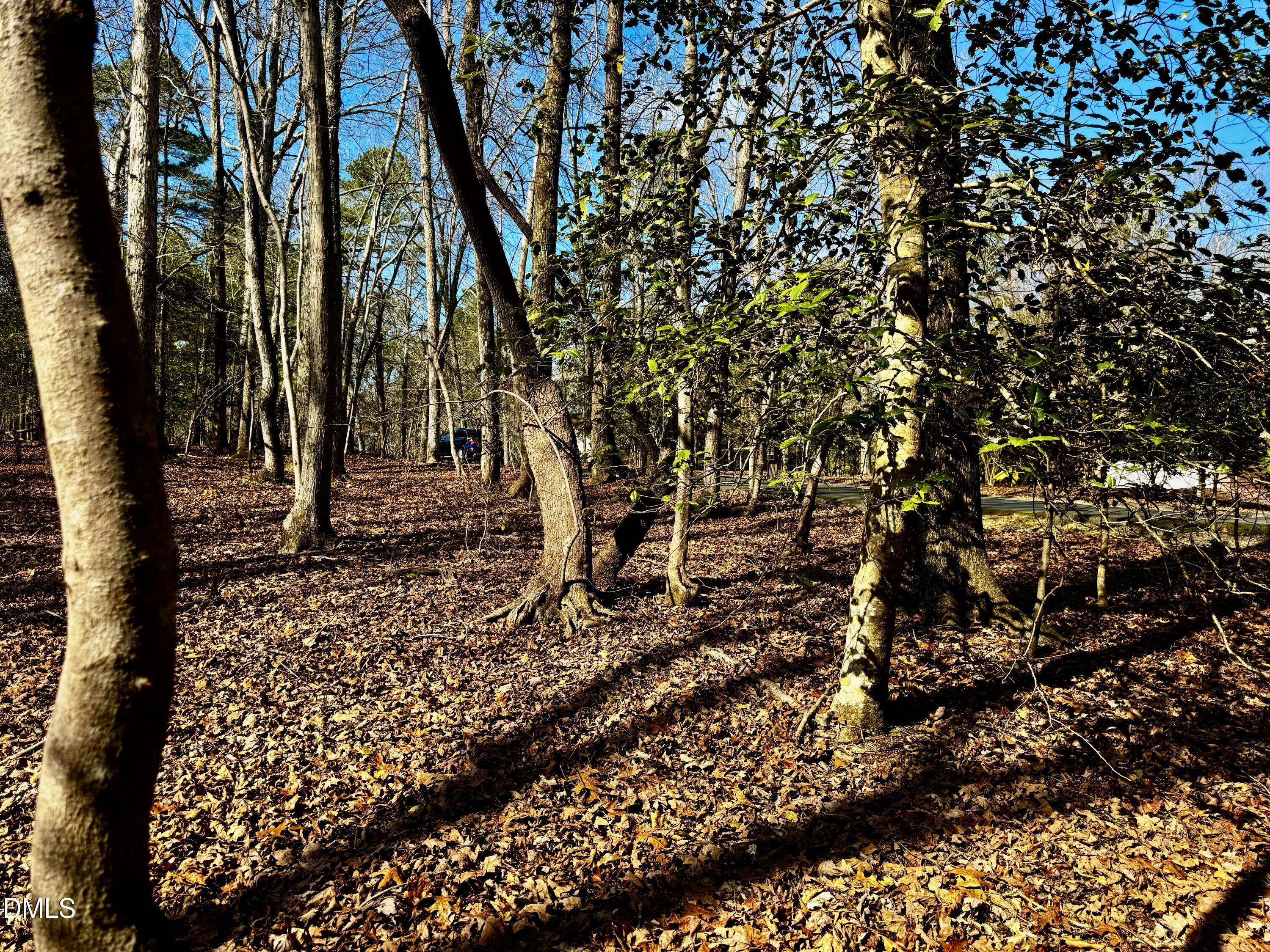 main property photo 8