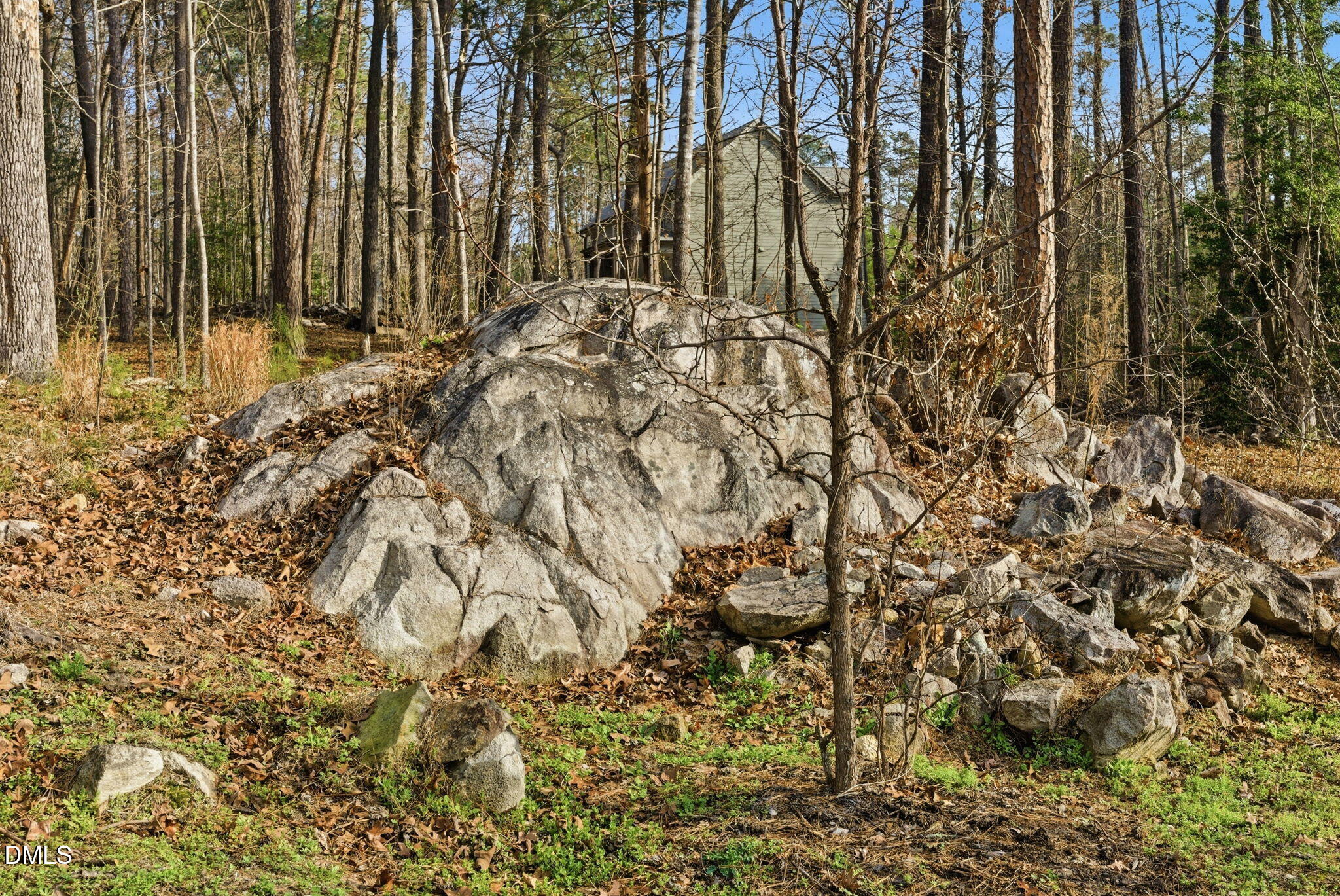 main property photo 54