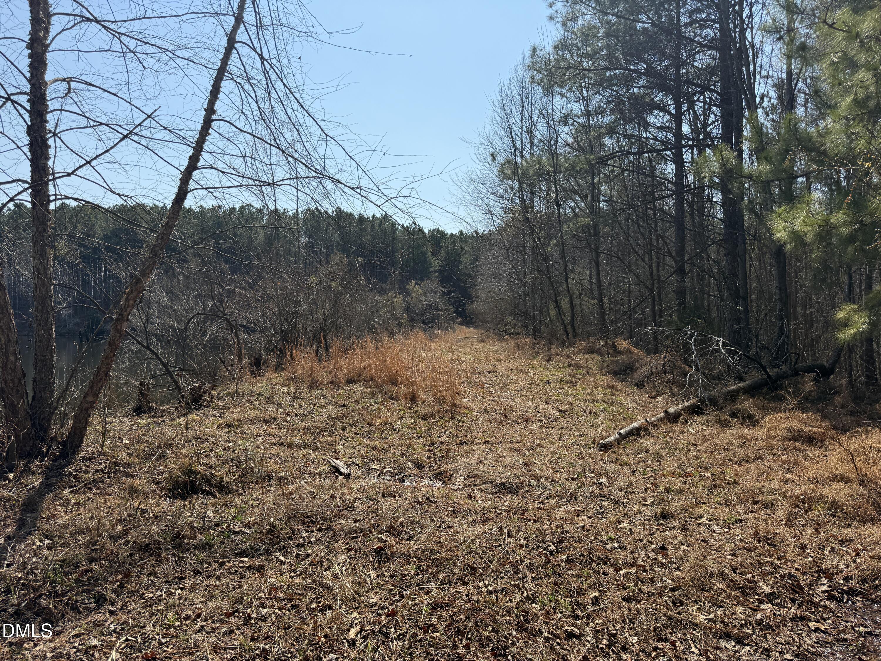 main property photo 42