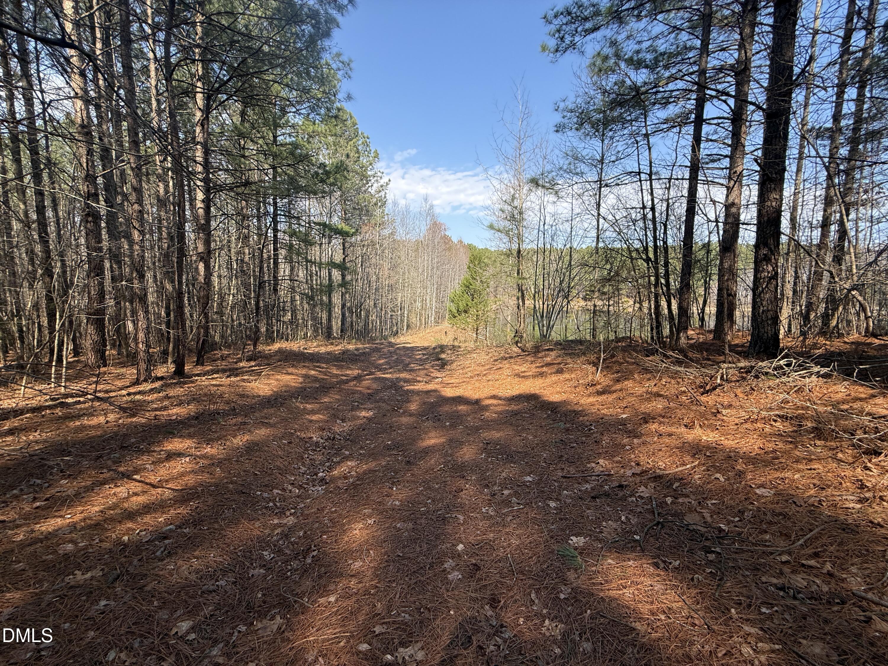 main property photo 49