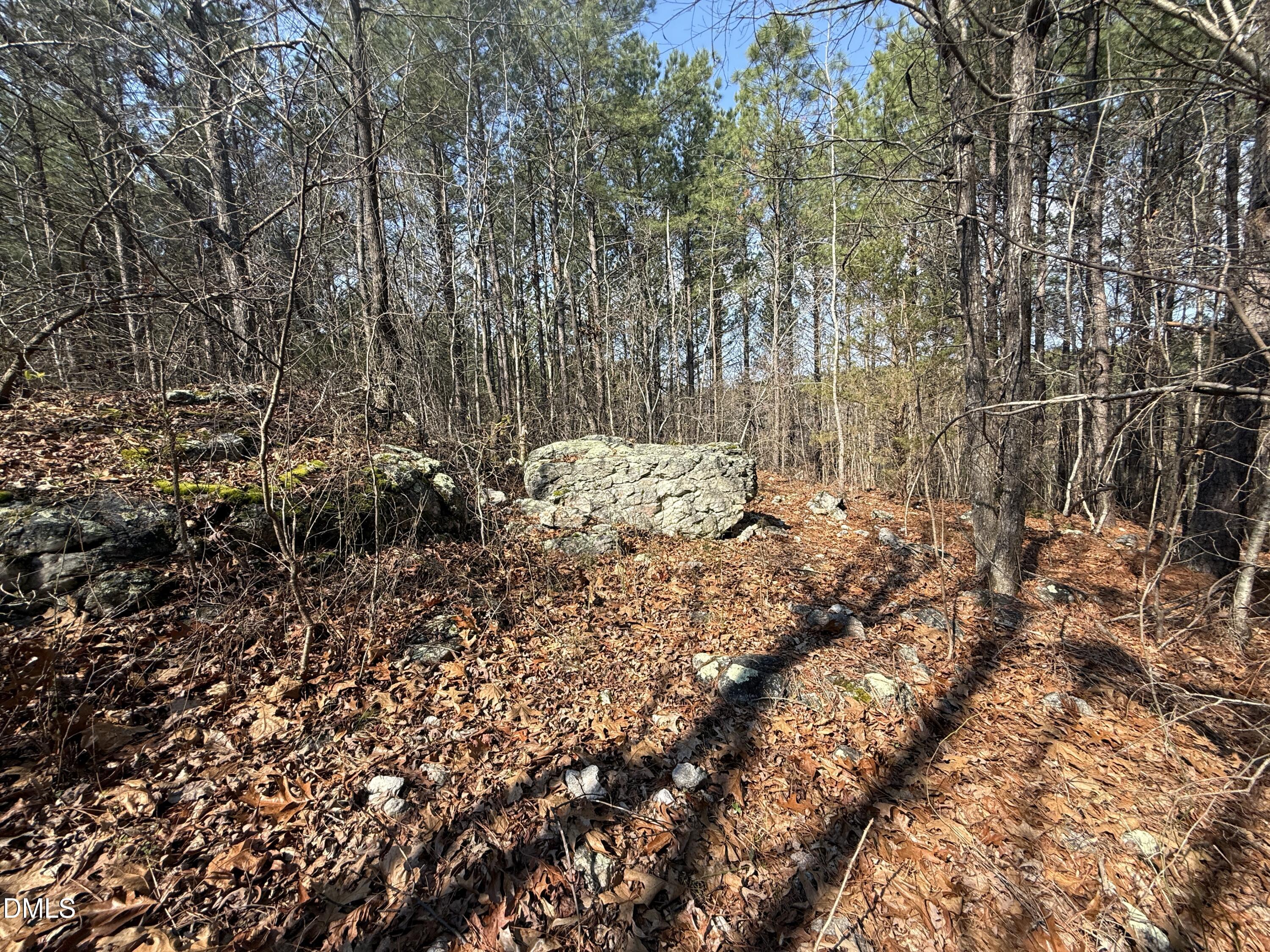 main property photo 9