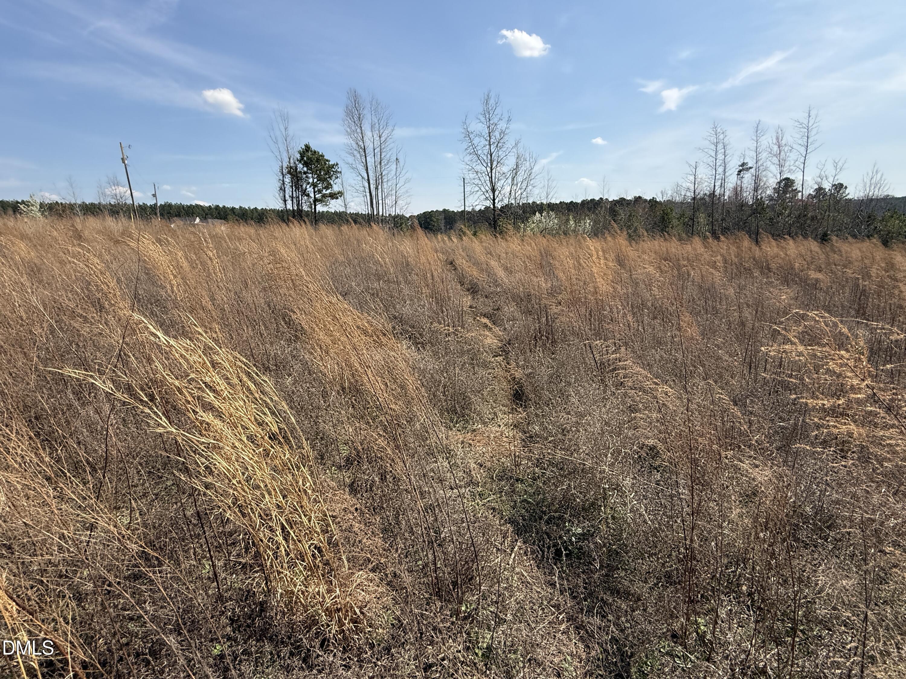 property viewer photo 7