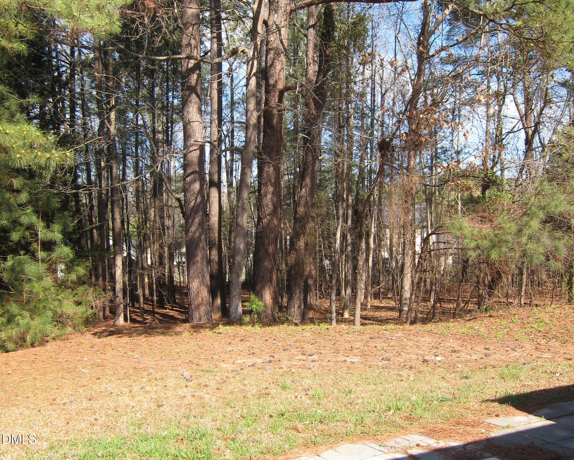 property viewer photo 1