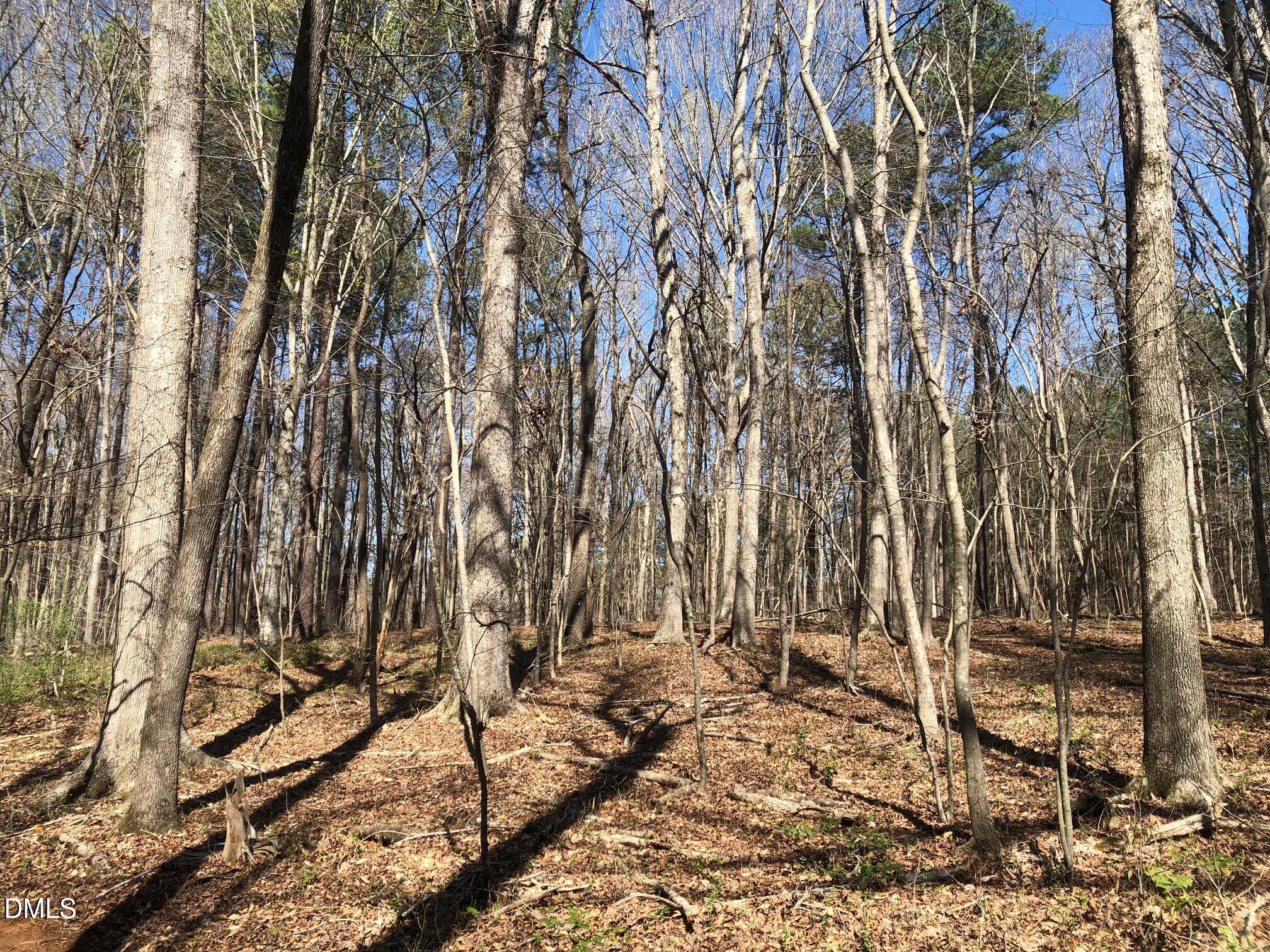main property photo 11