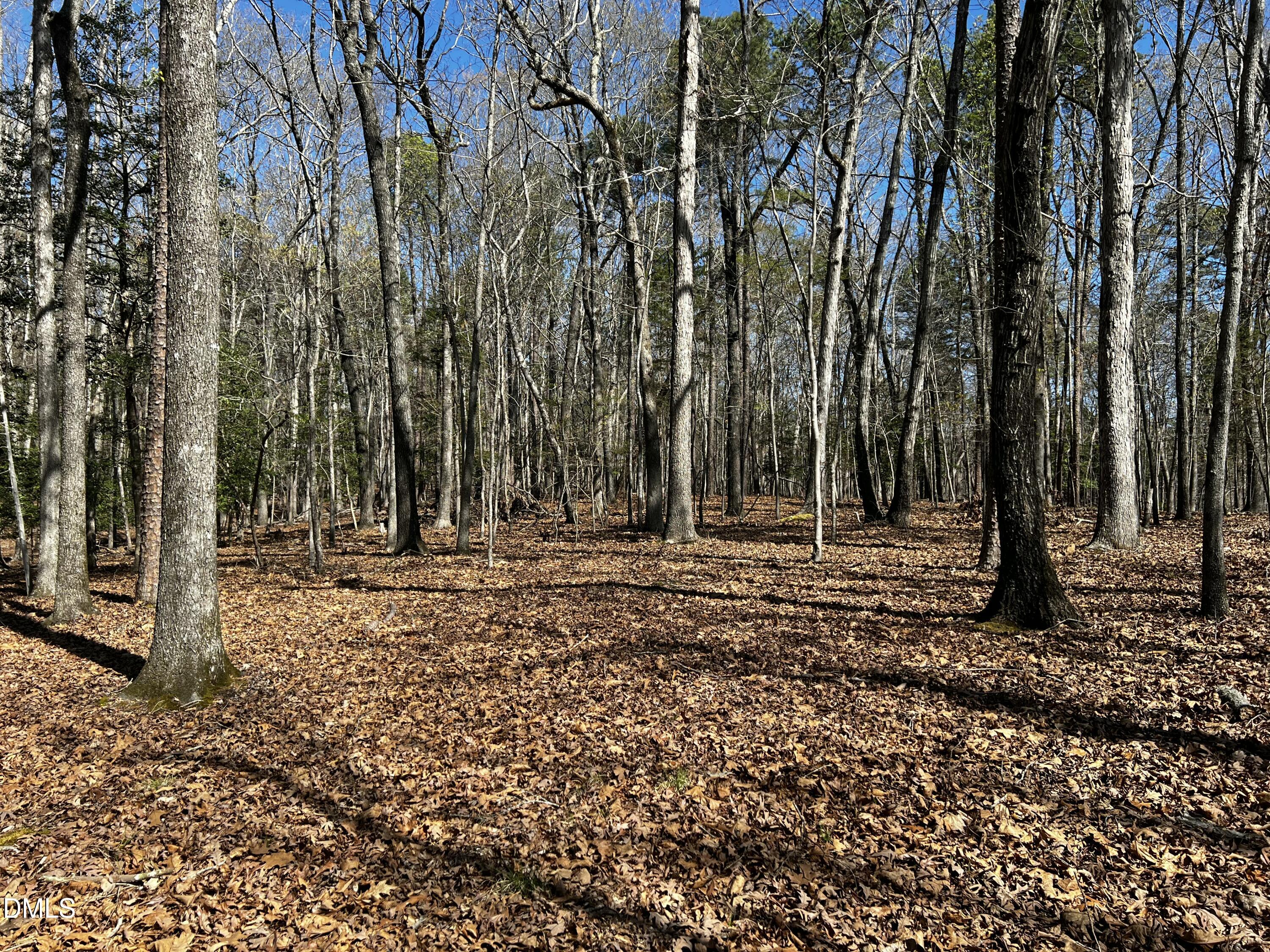 main property photo 11