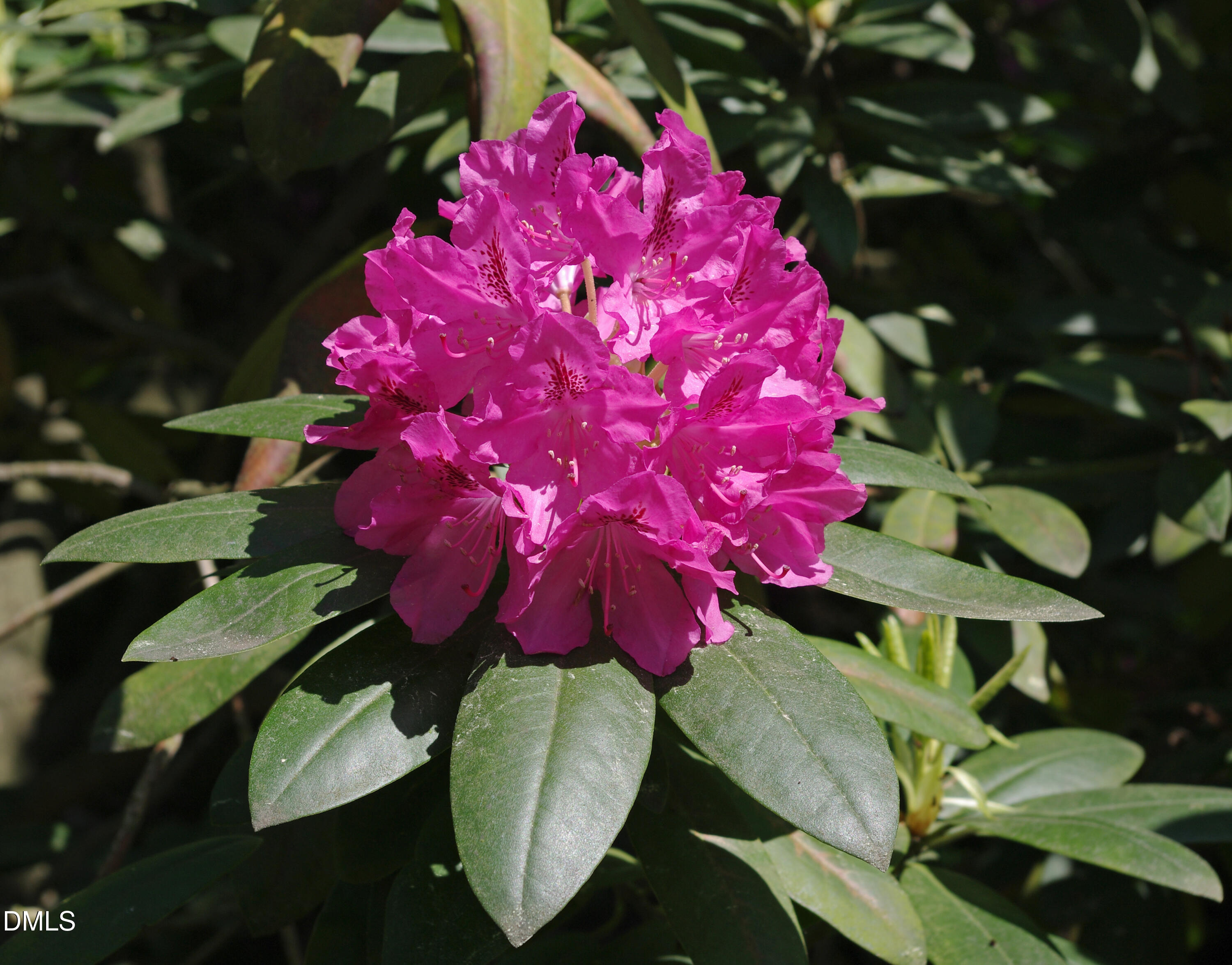 main property photo 44