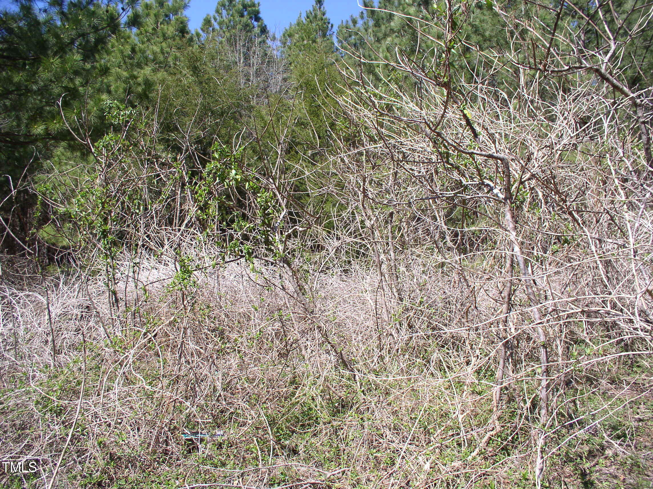 main property photo 18