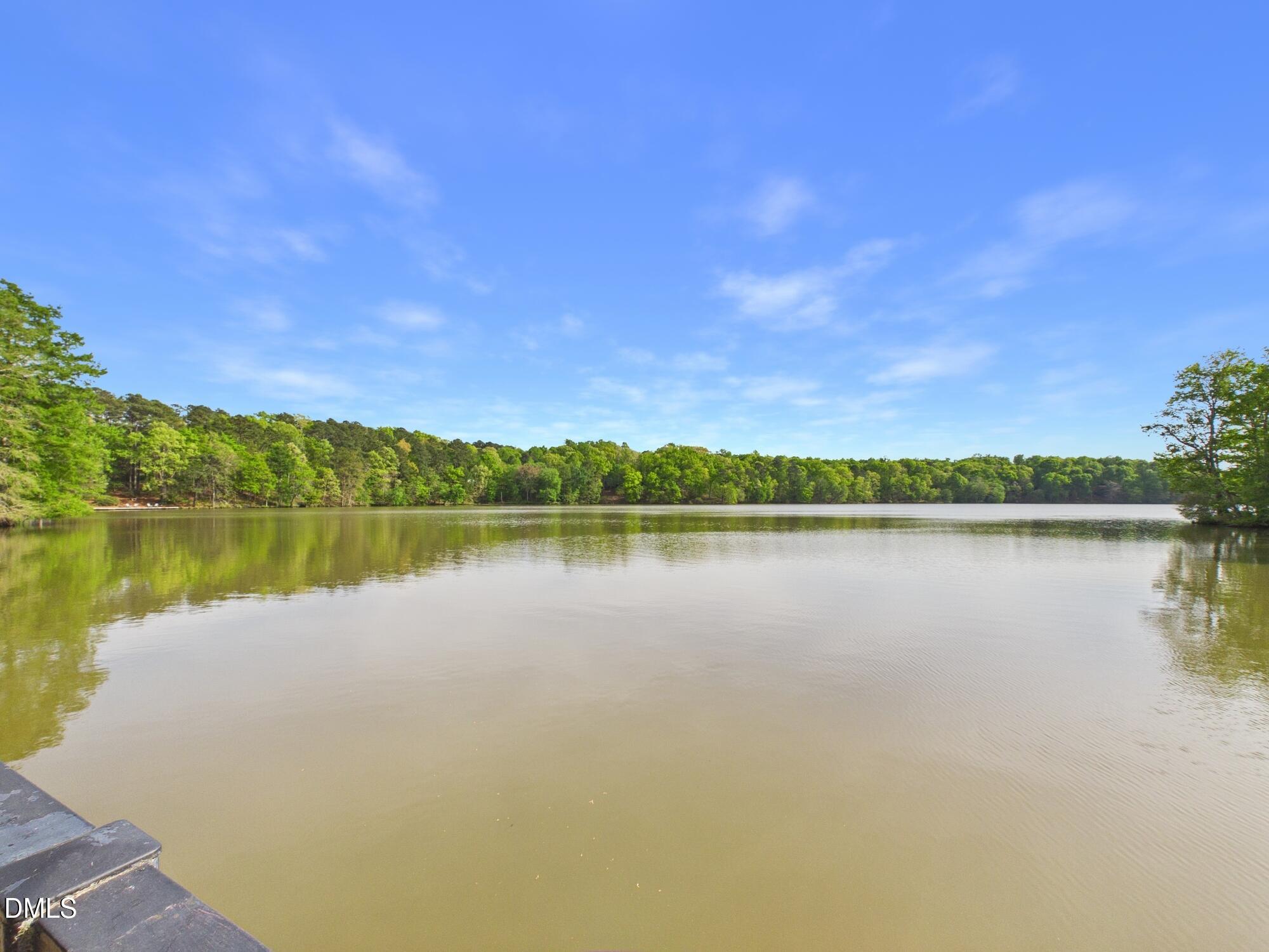 main property photo 99