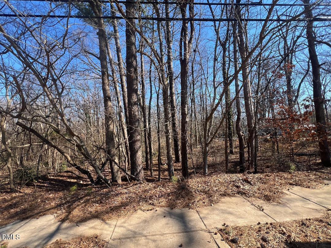 main property photo 32