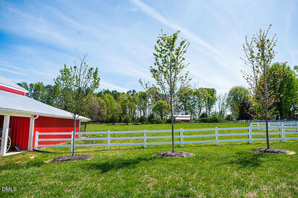 main property photo 87