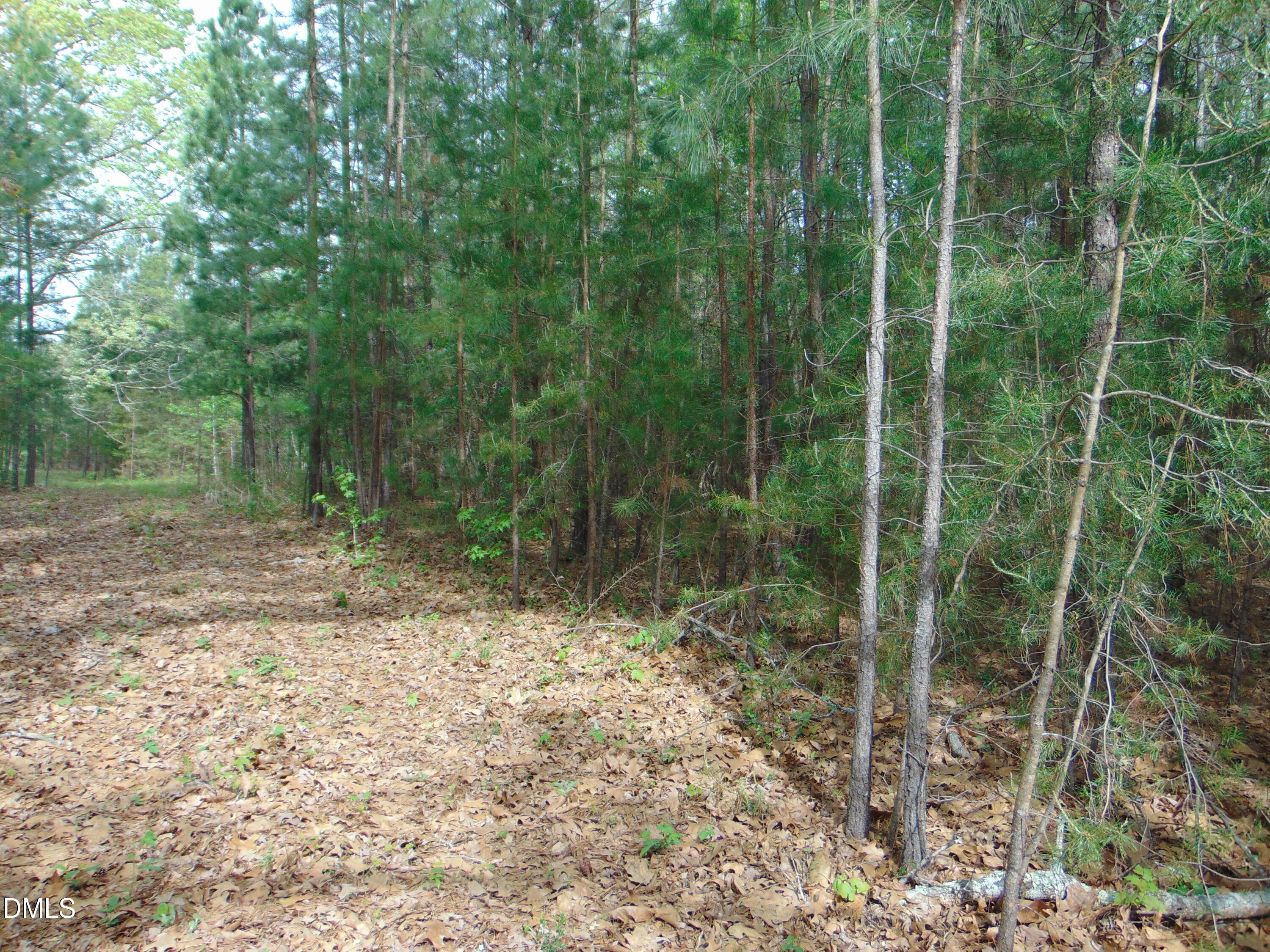 main property photo 18
