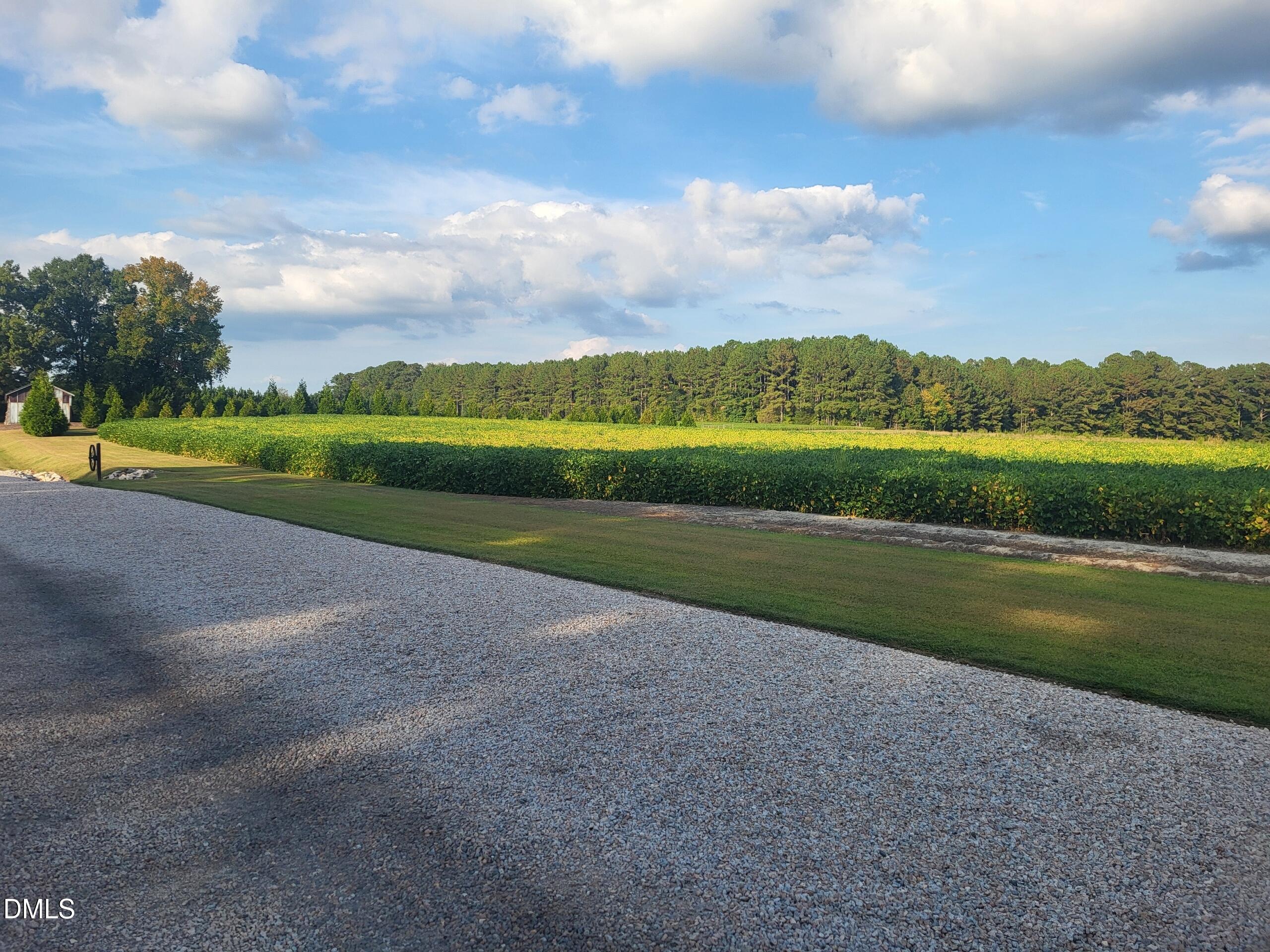 main property photo 74