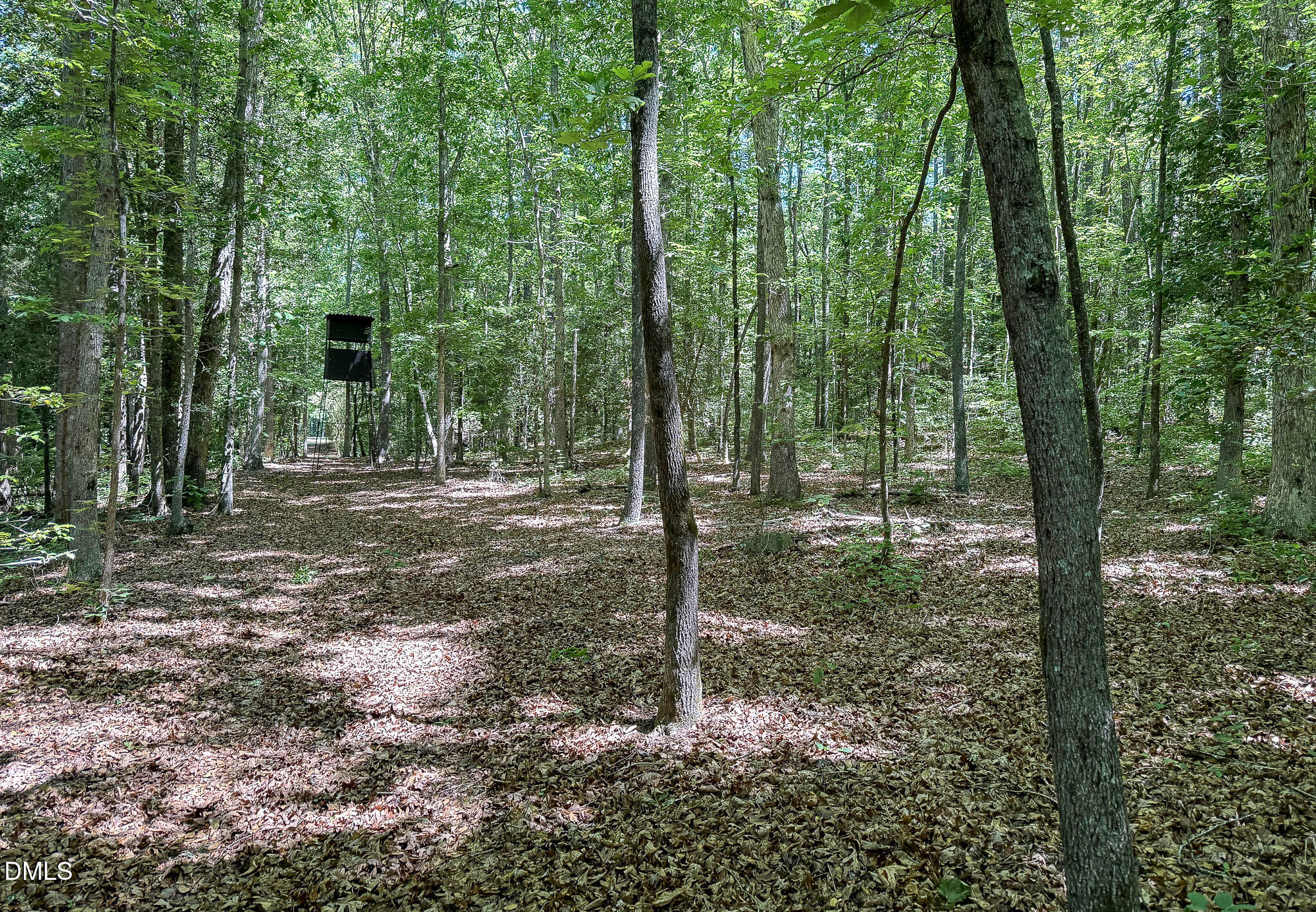main property photo 91