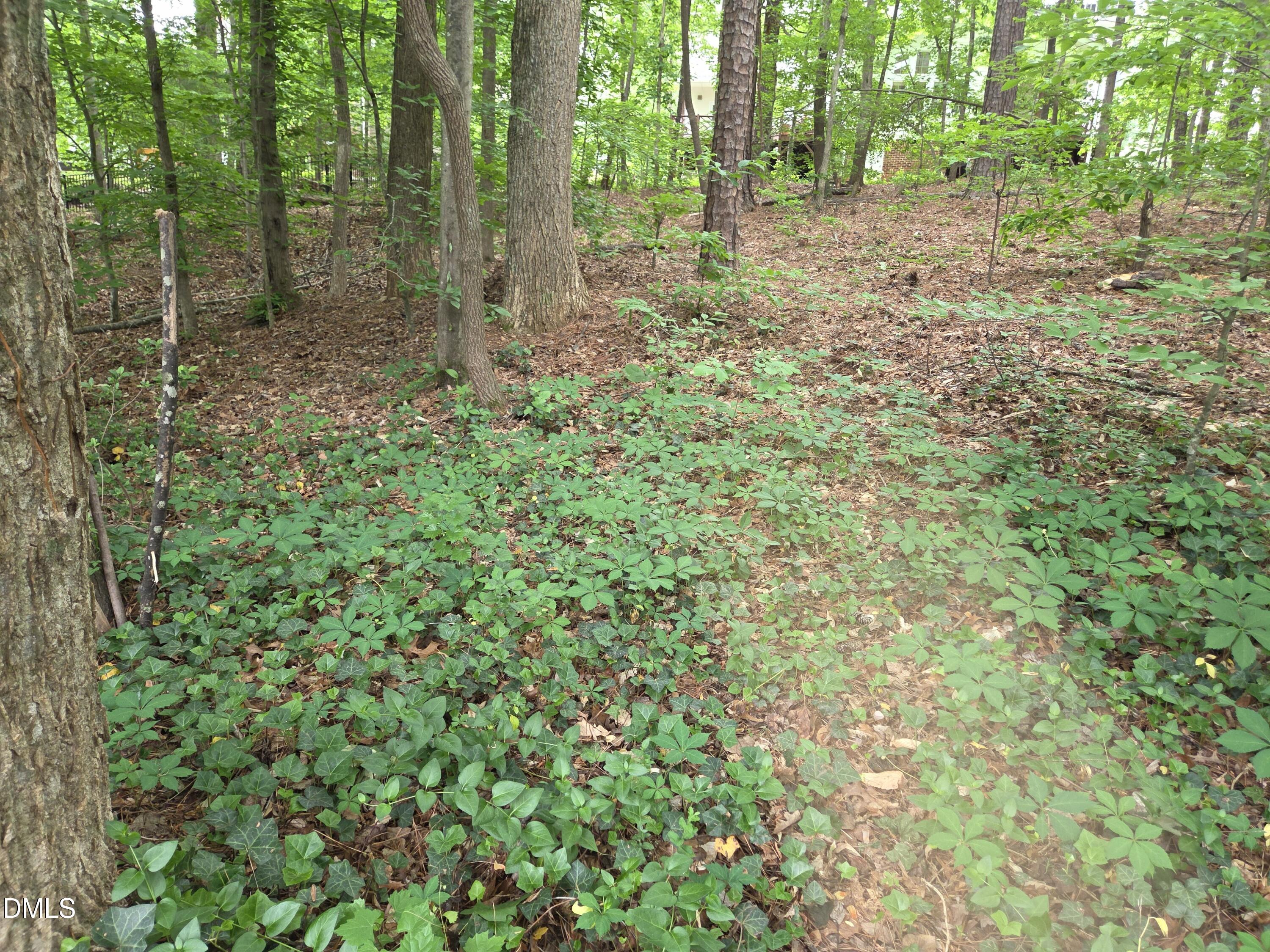 main property photo 56
