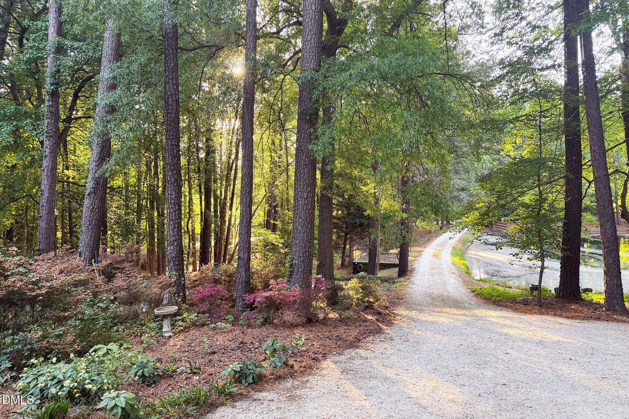 main property photo 63