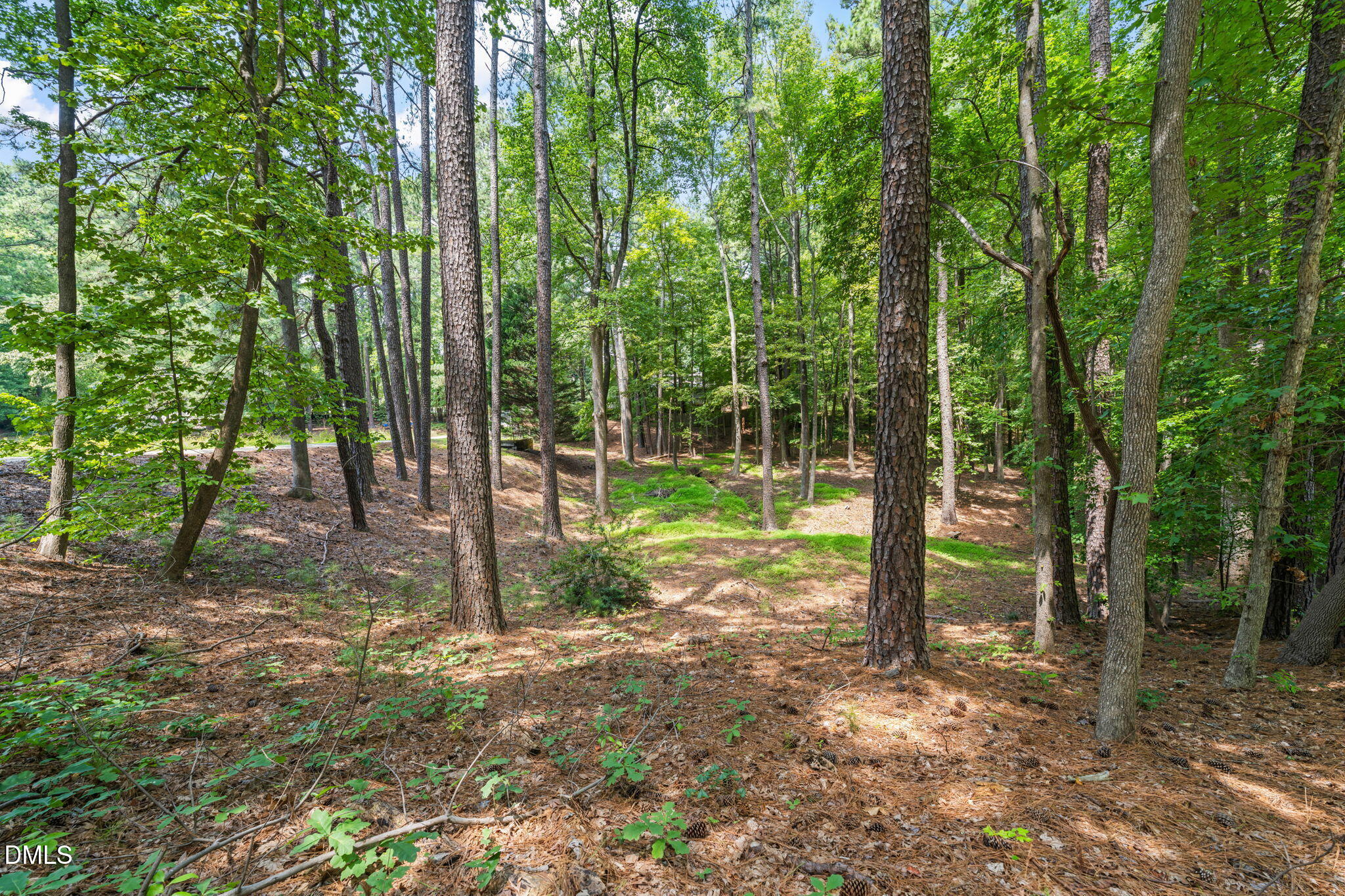 main property photo 94