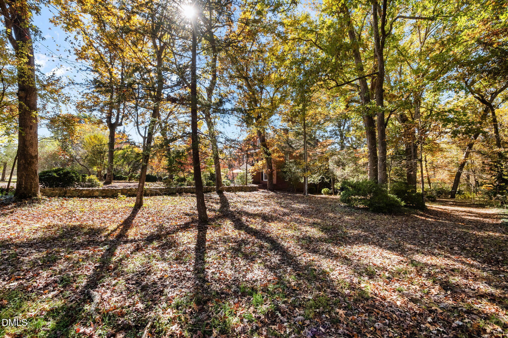 main property photo 71