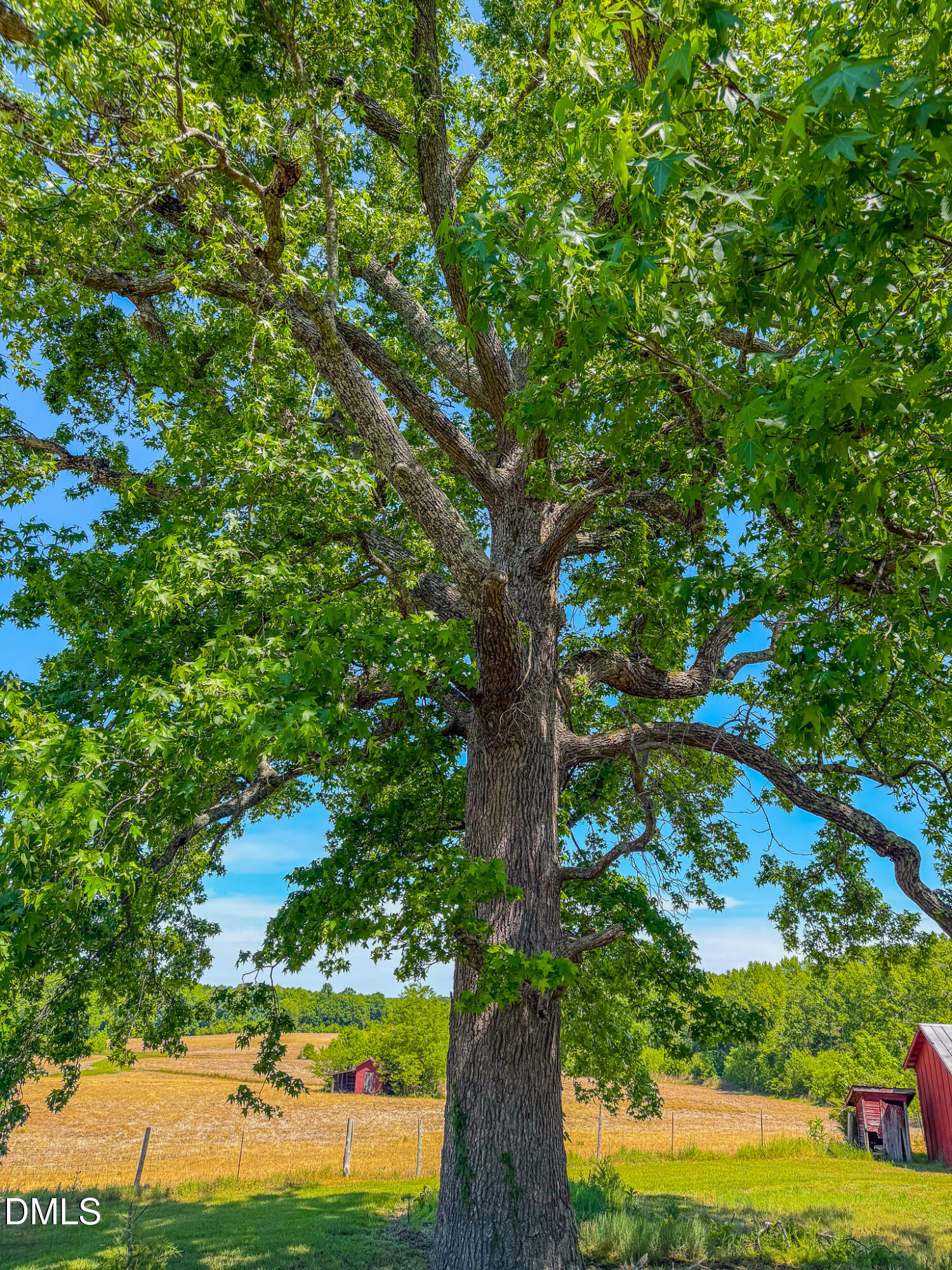 main property photo 49