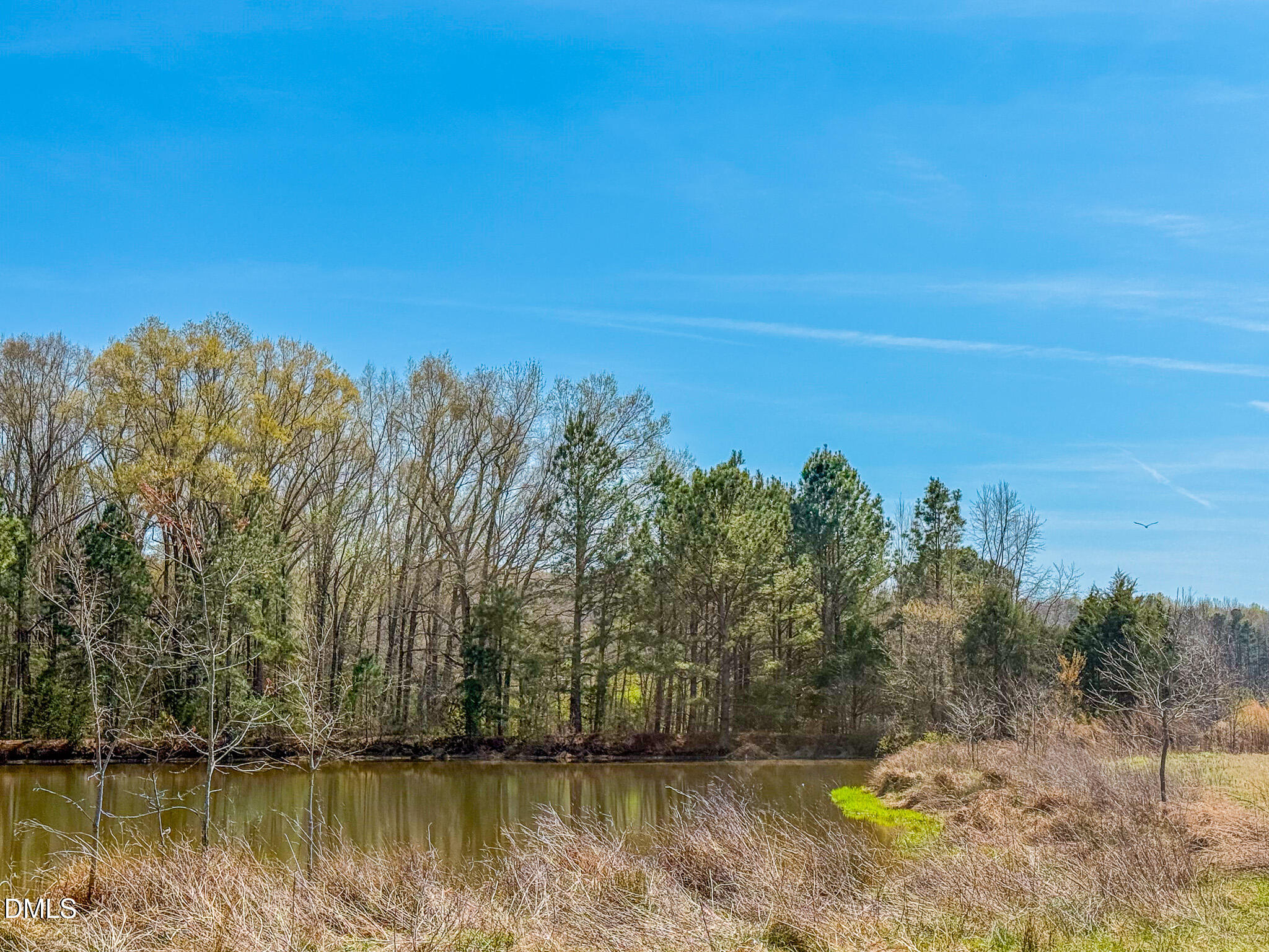 main property photo 59