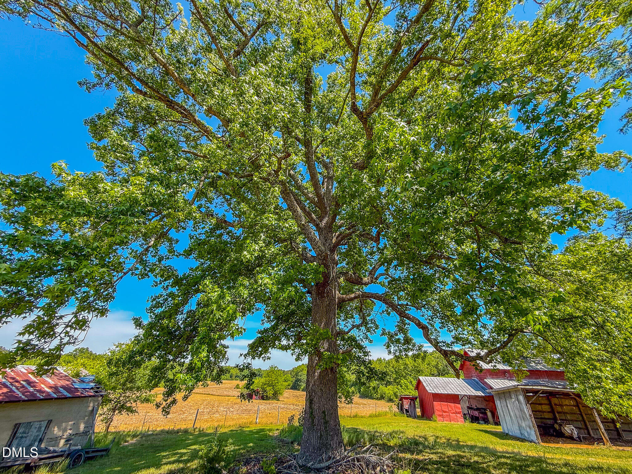 main property photo 60