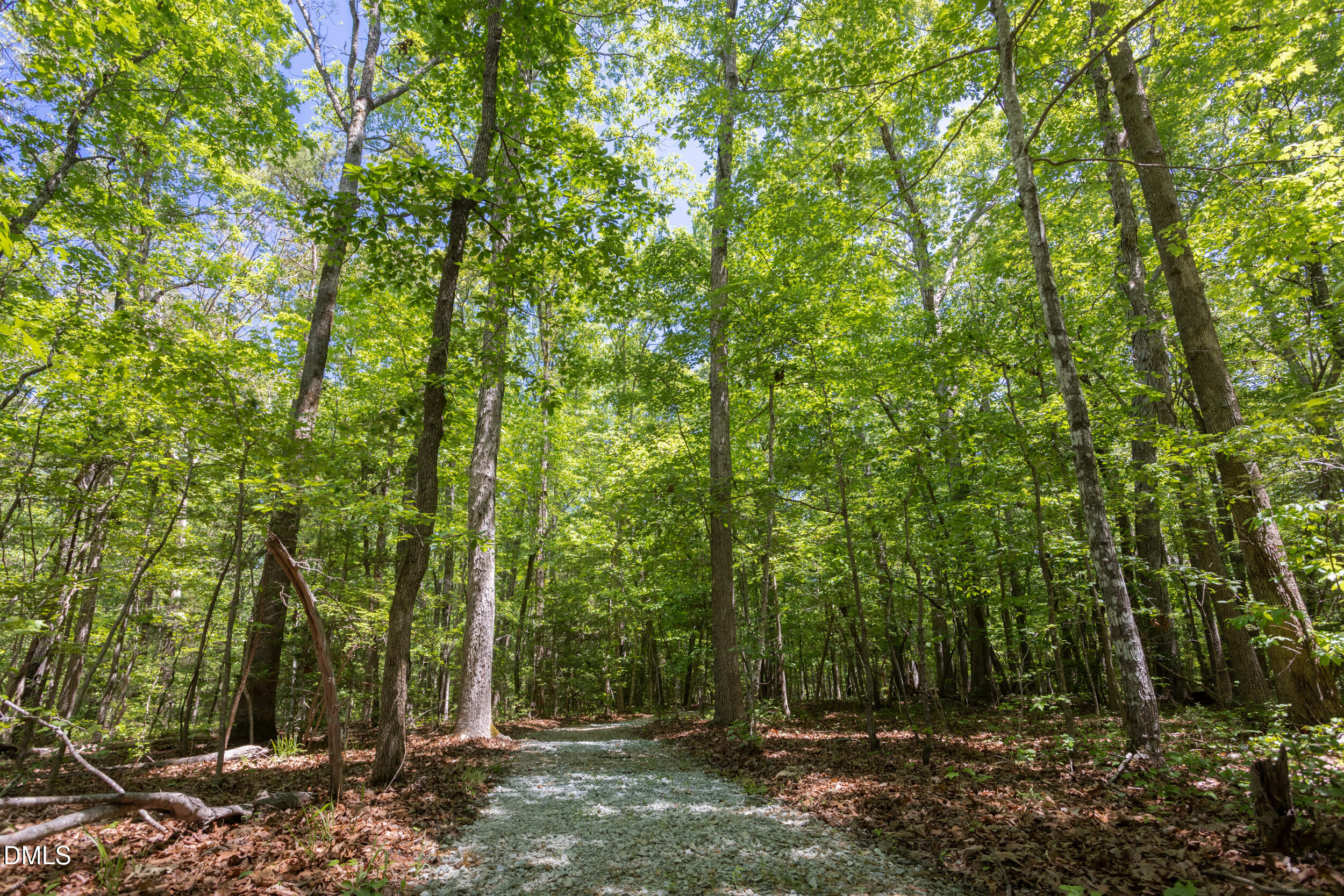 main property photo 65