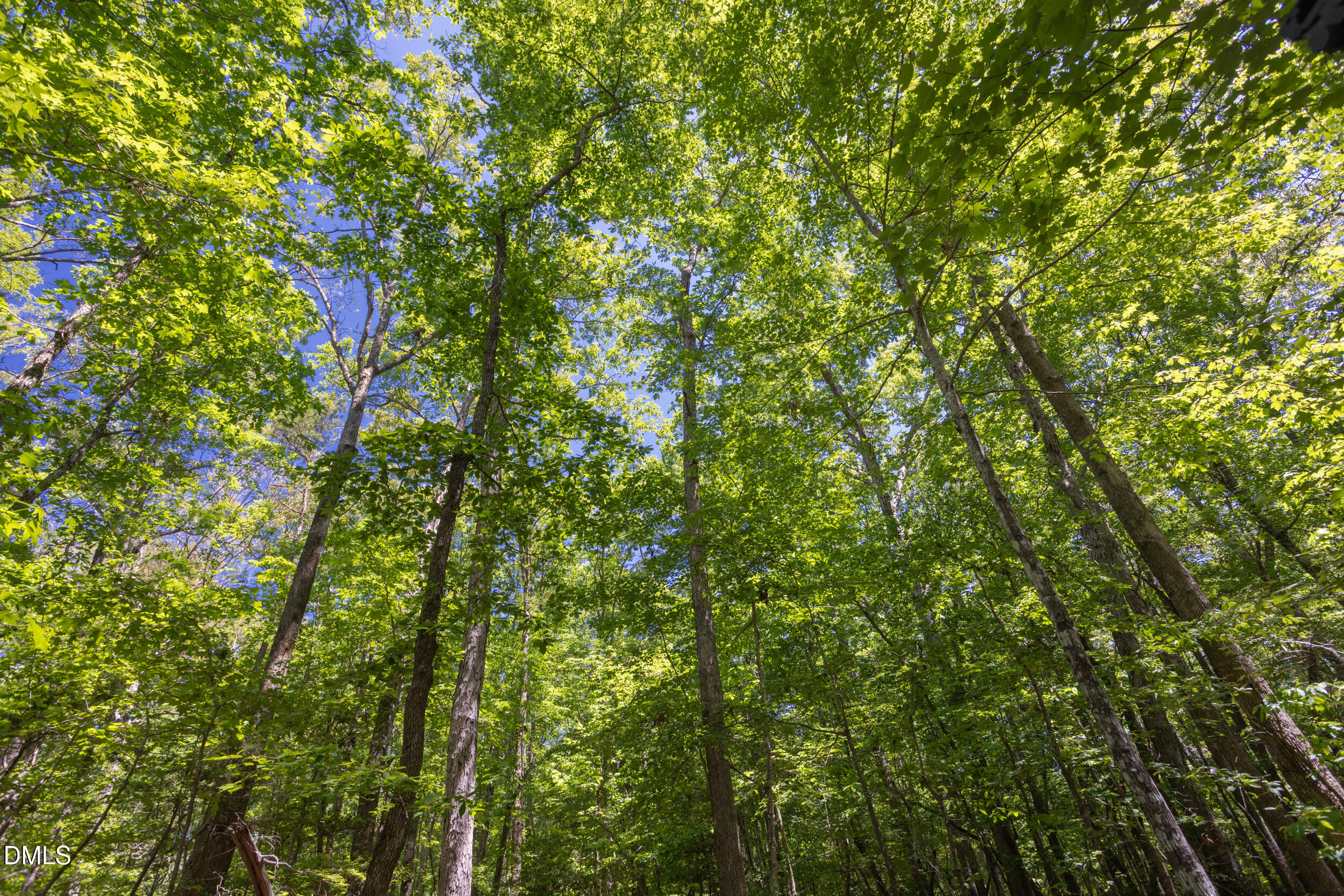 main property photo 70