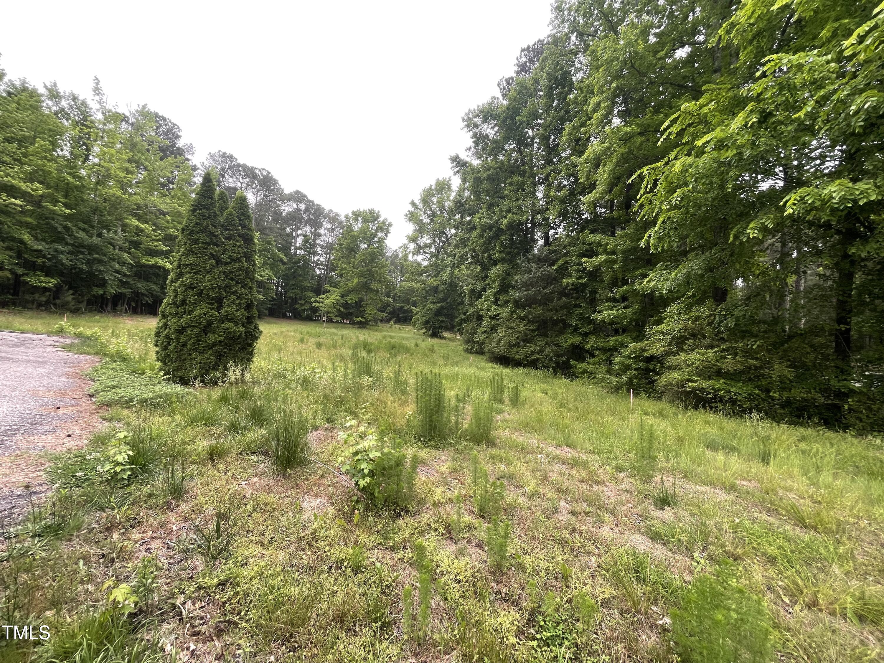 main property photo 61