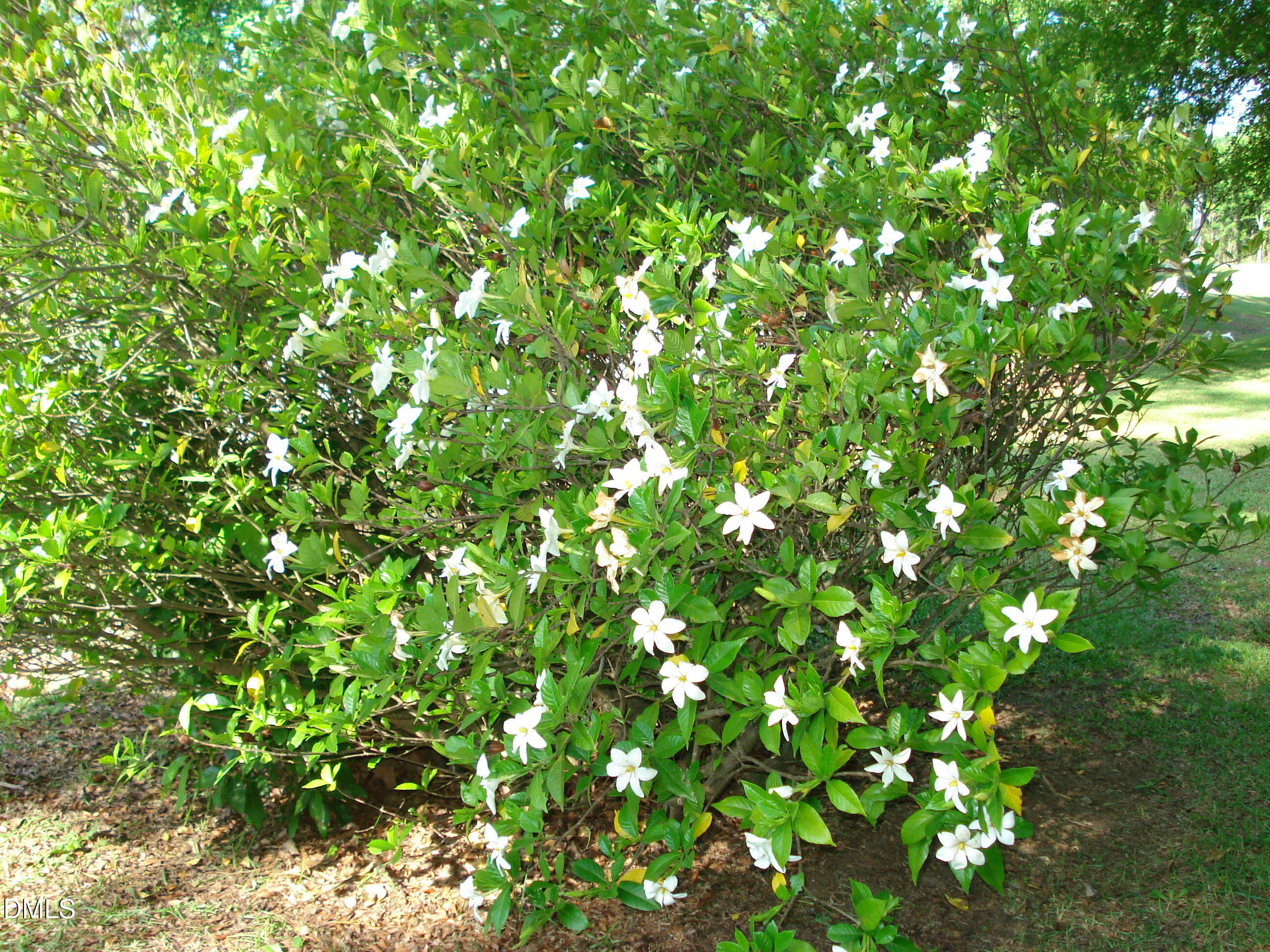 main property photo 18