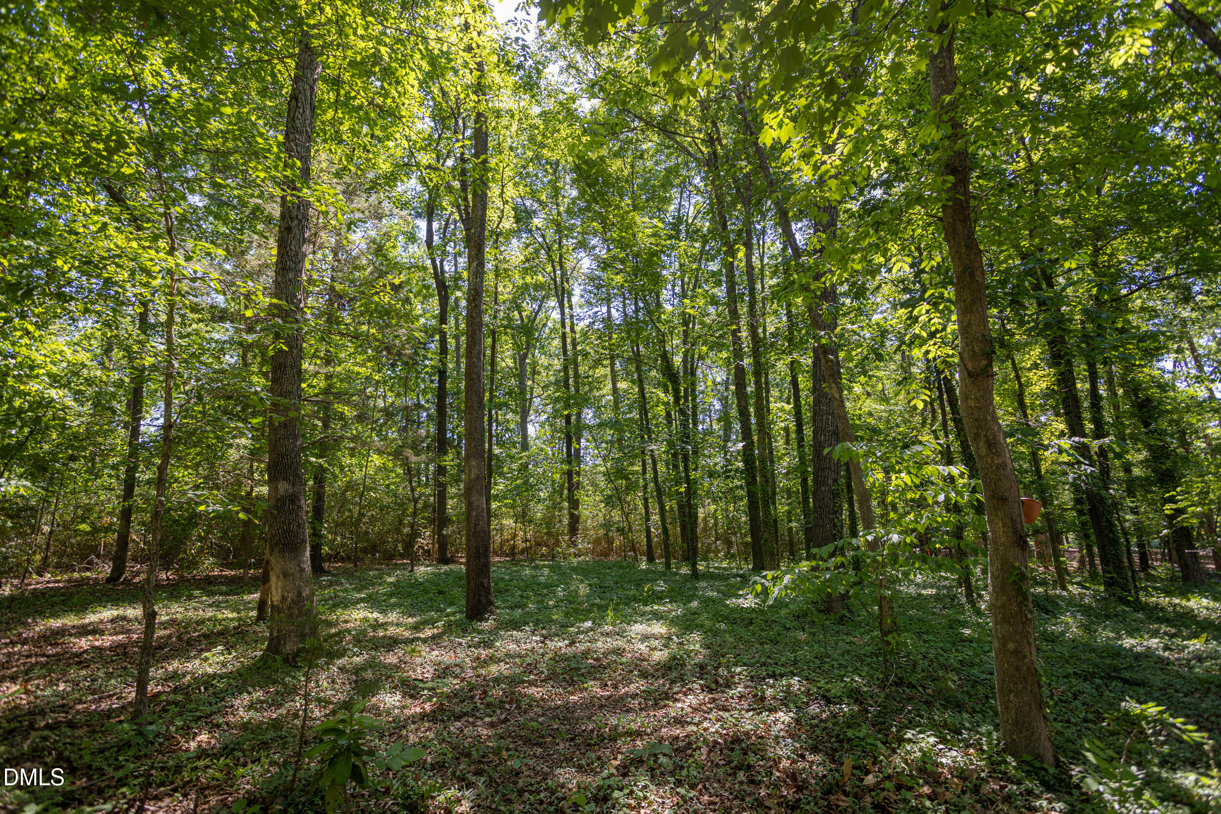 main property photo 51