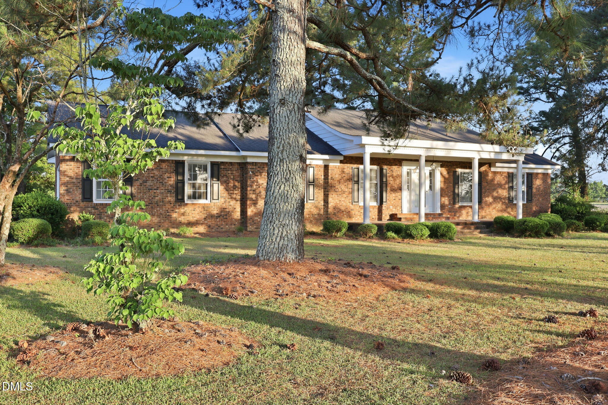 main property photo 43
