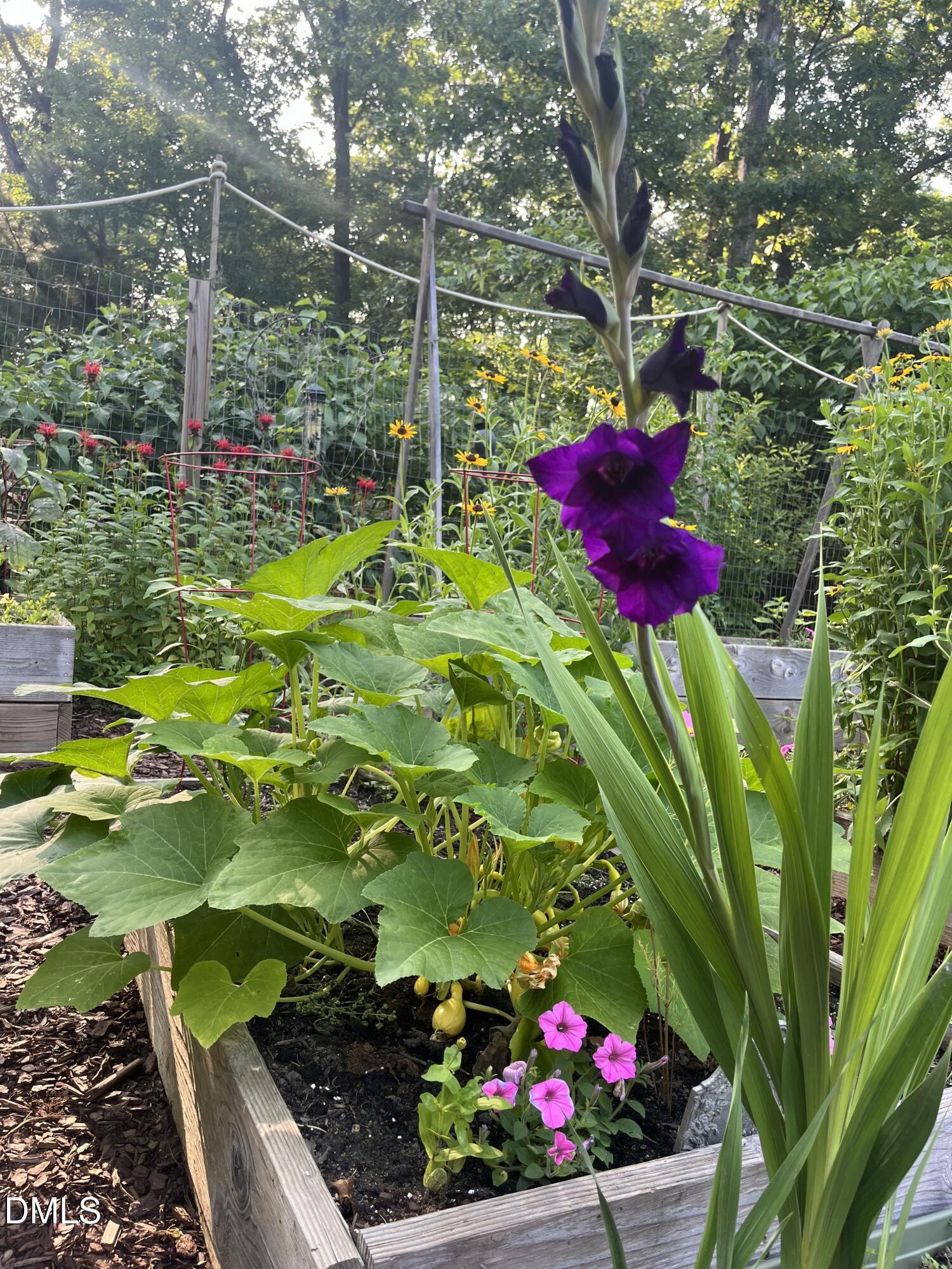 main property photo 79